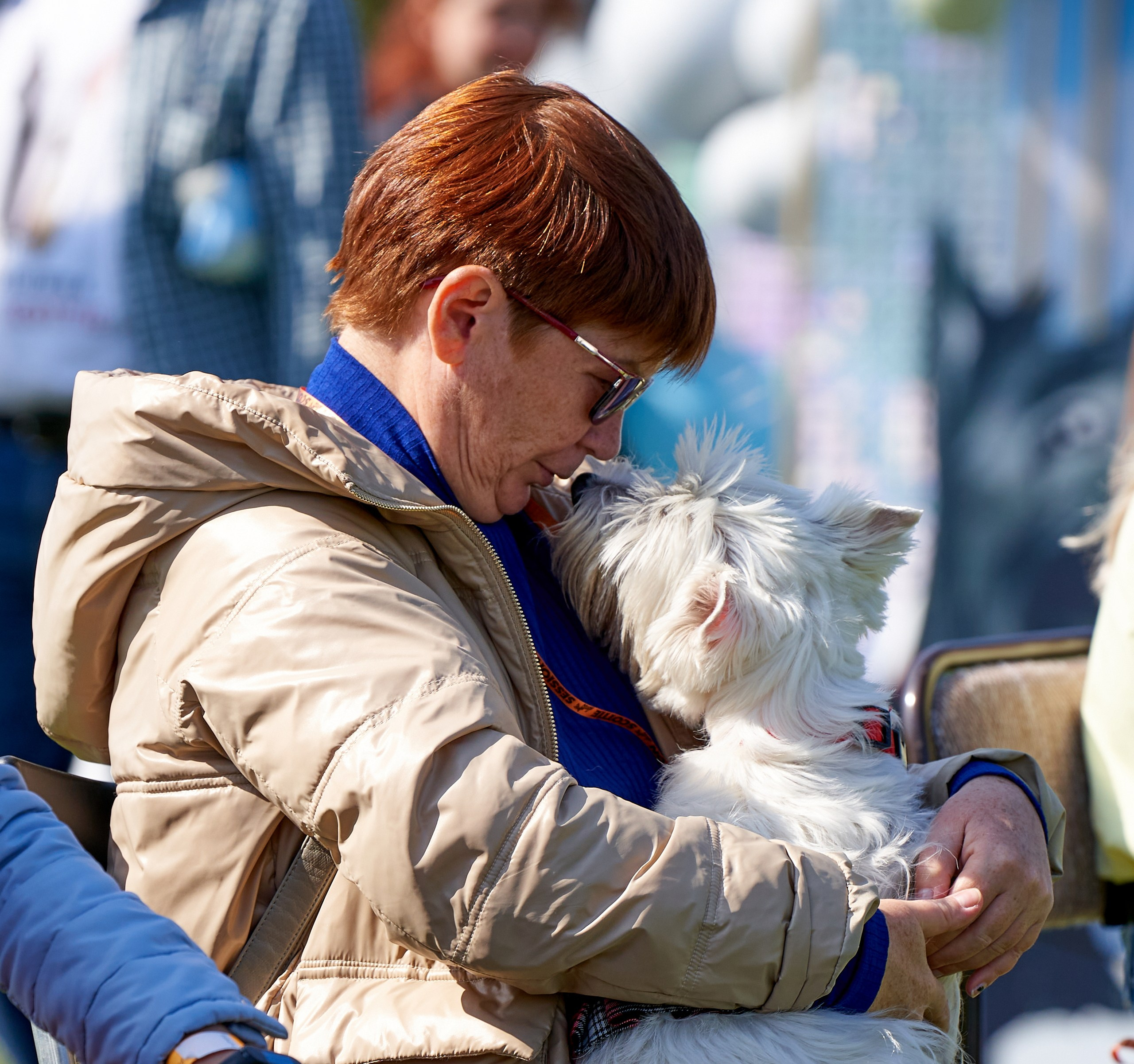 Мероприятия с собаками — галерея NATRIEL