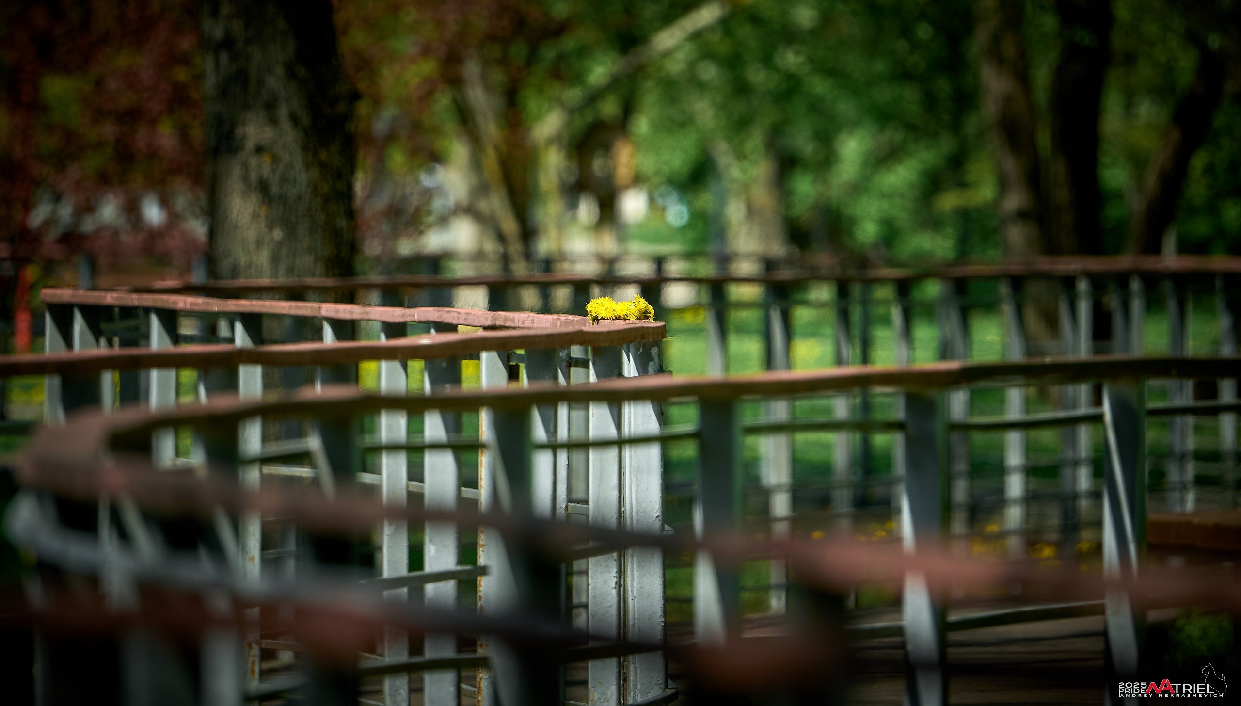 Птички и цветочки