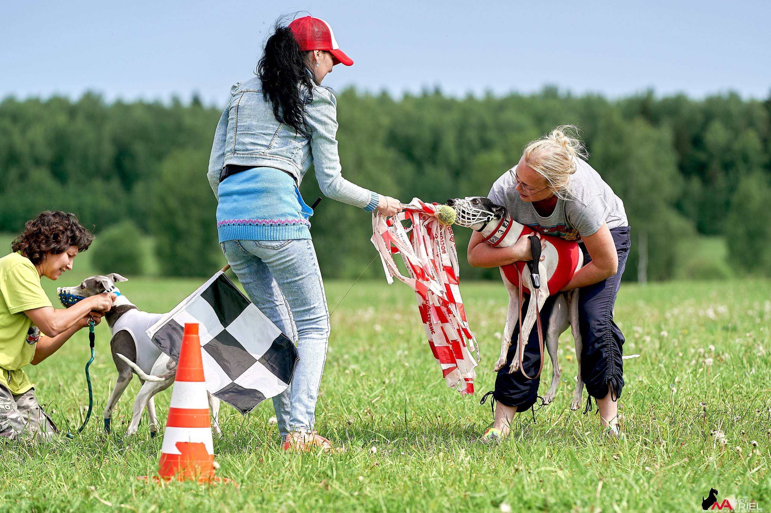 Съемка курсинг — галерея NATRIEL