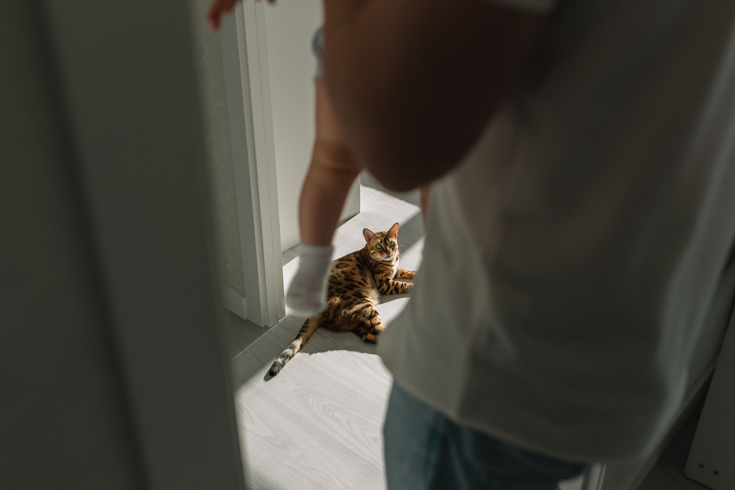 Тима, Мила, Алёша, Алисия домашняя. Семейный фотограф в Волгограде Надежда Головко