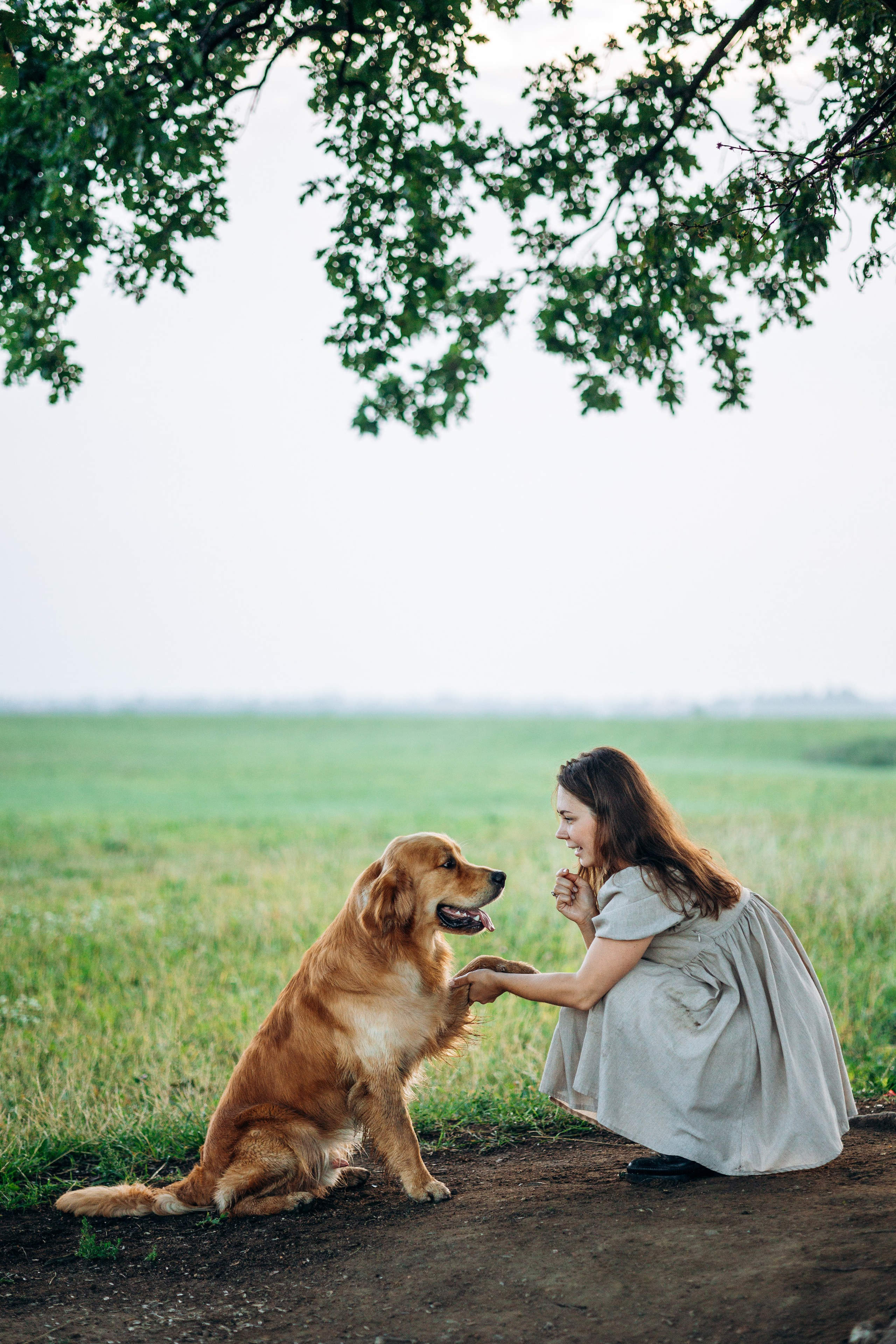 Аня и Ноллан. Фотограф — Анималист | Санкт-Петербург