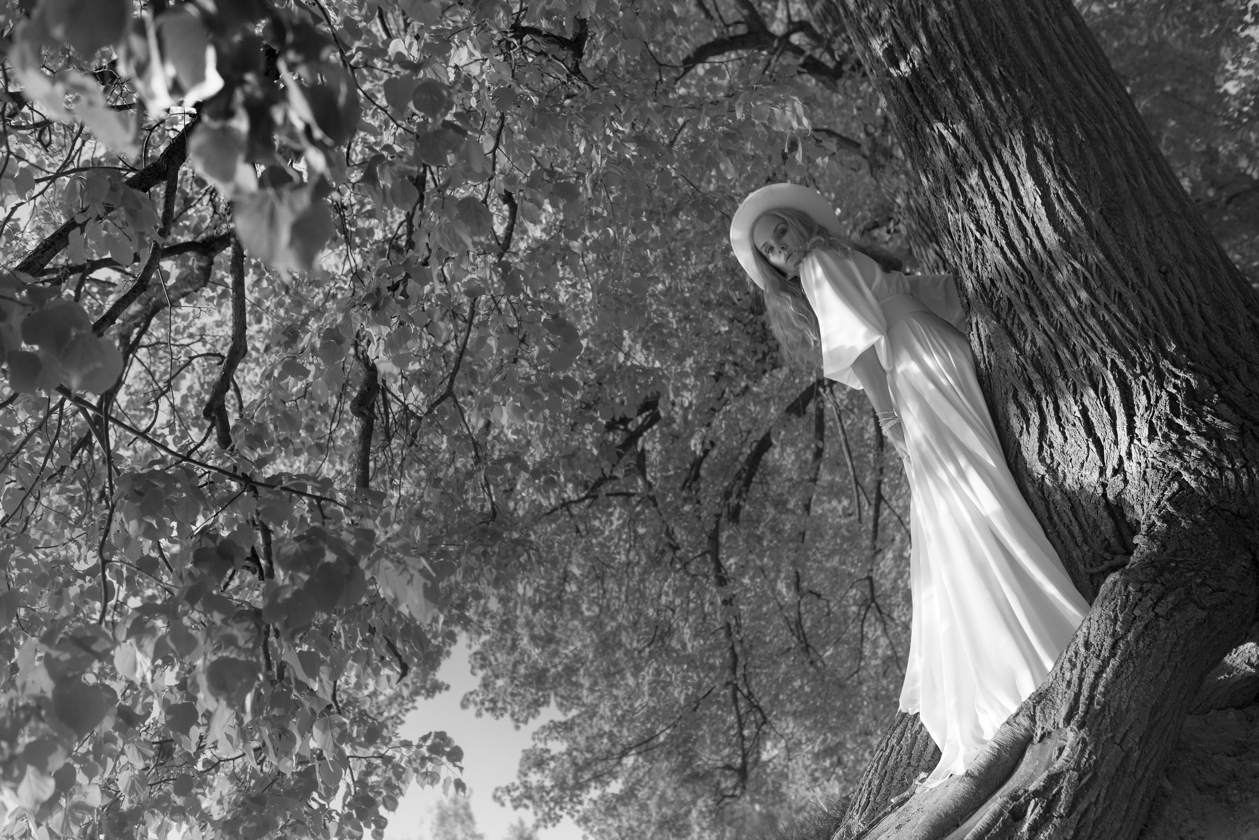 Весна на пороге лета. Игорь Замятин. Московский фотограф