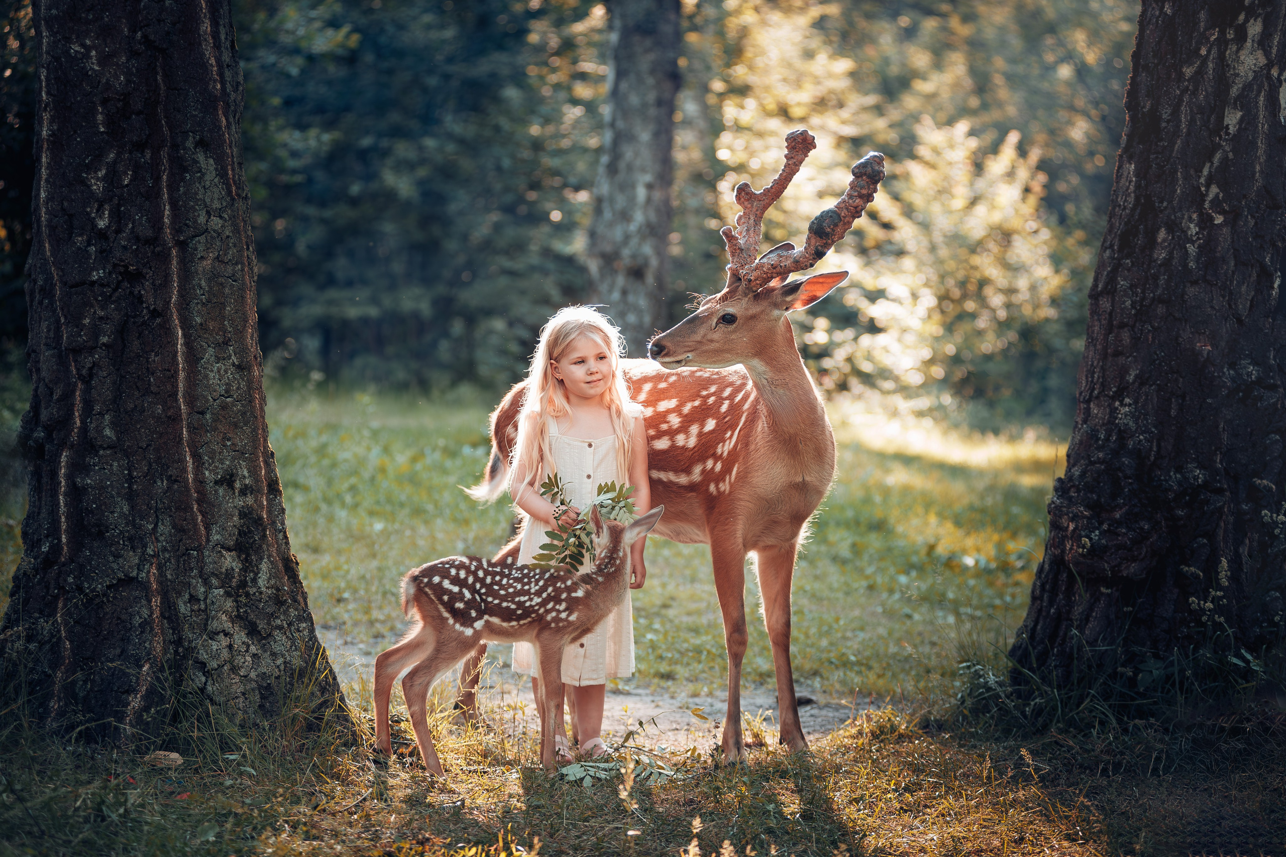 Фотосессия с оленями