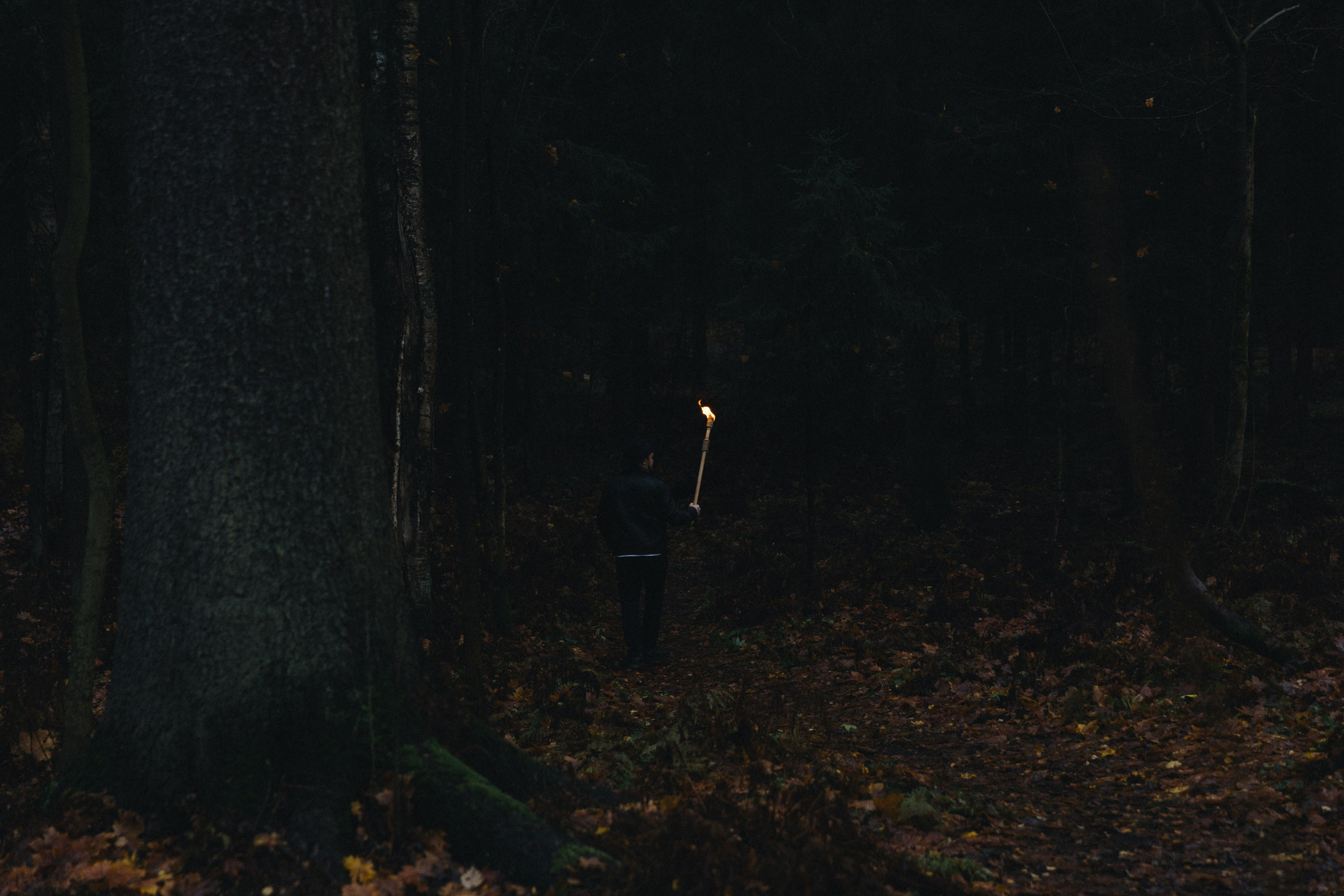Творческие проекты. Свадебный и репортажный фотограф в Санкт-Петербурге