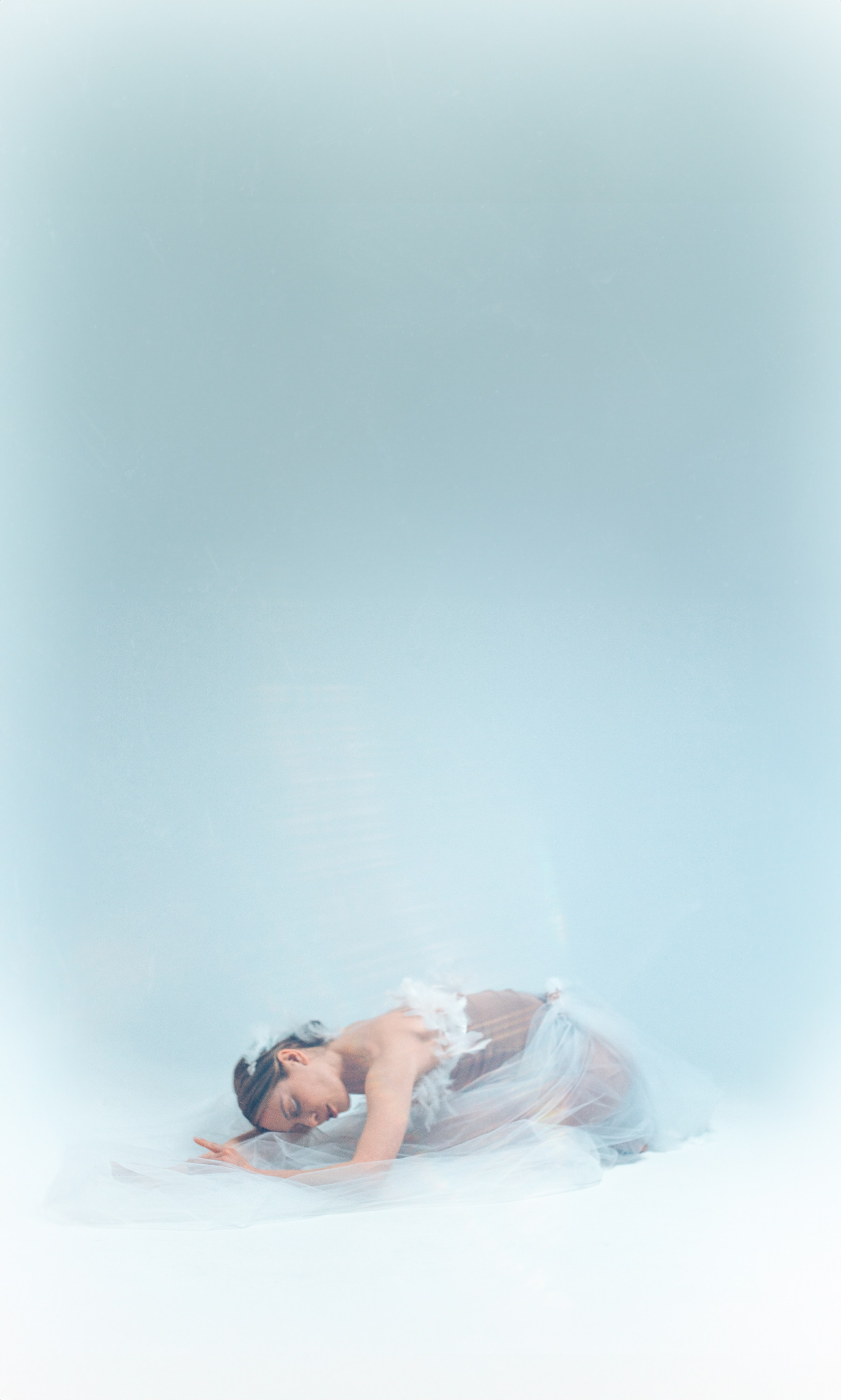 SWAN. Настоящие портреты и истории