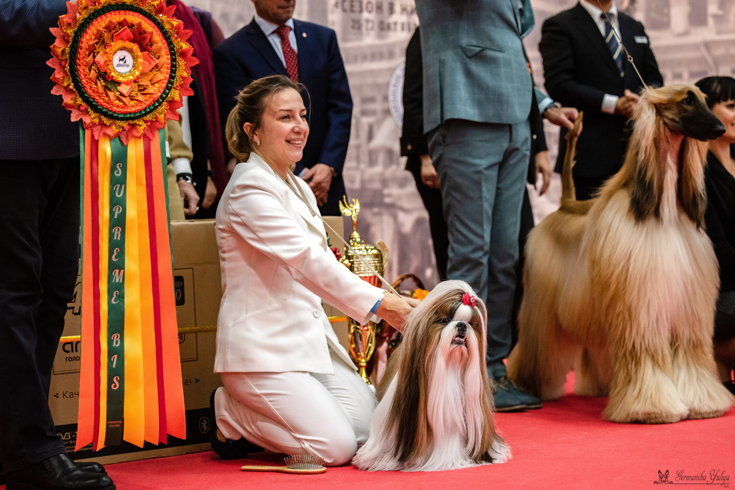 Нижний Новгород 21-22.10.2023. Фотограф-анималист Юлия Германика