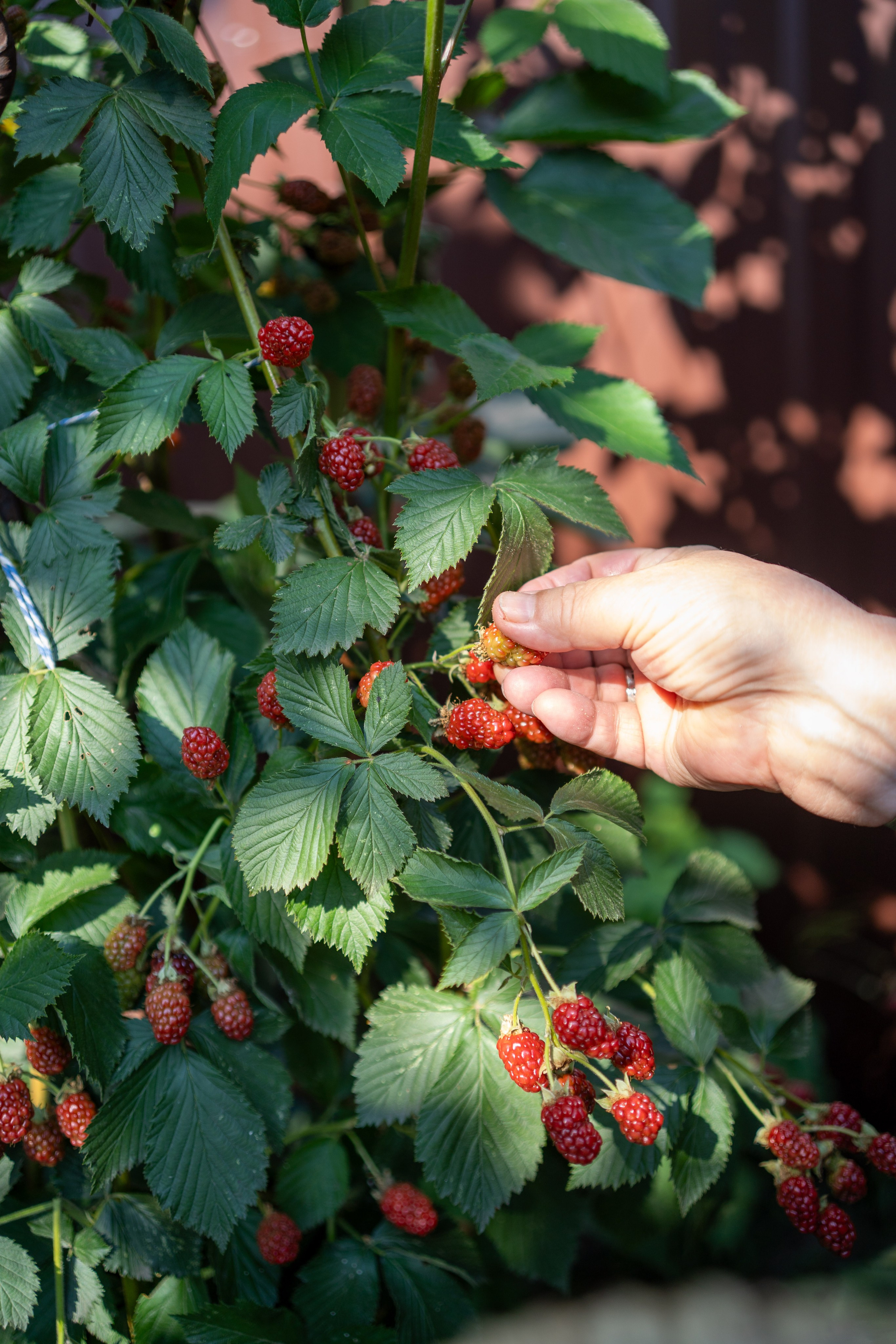 Съемка для патронажной службы. Фотограф и маркетолог Андрей Юрилин Саратов и Энгельс