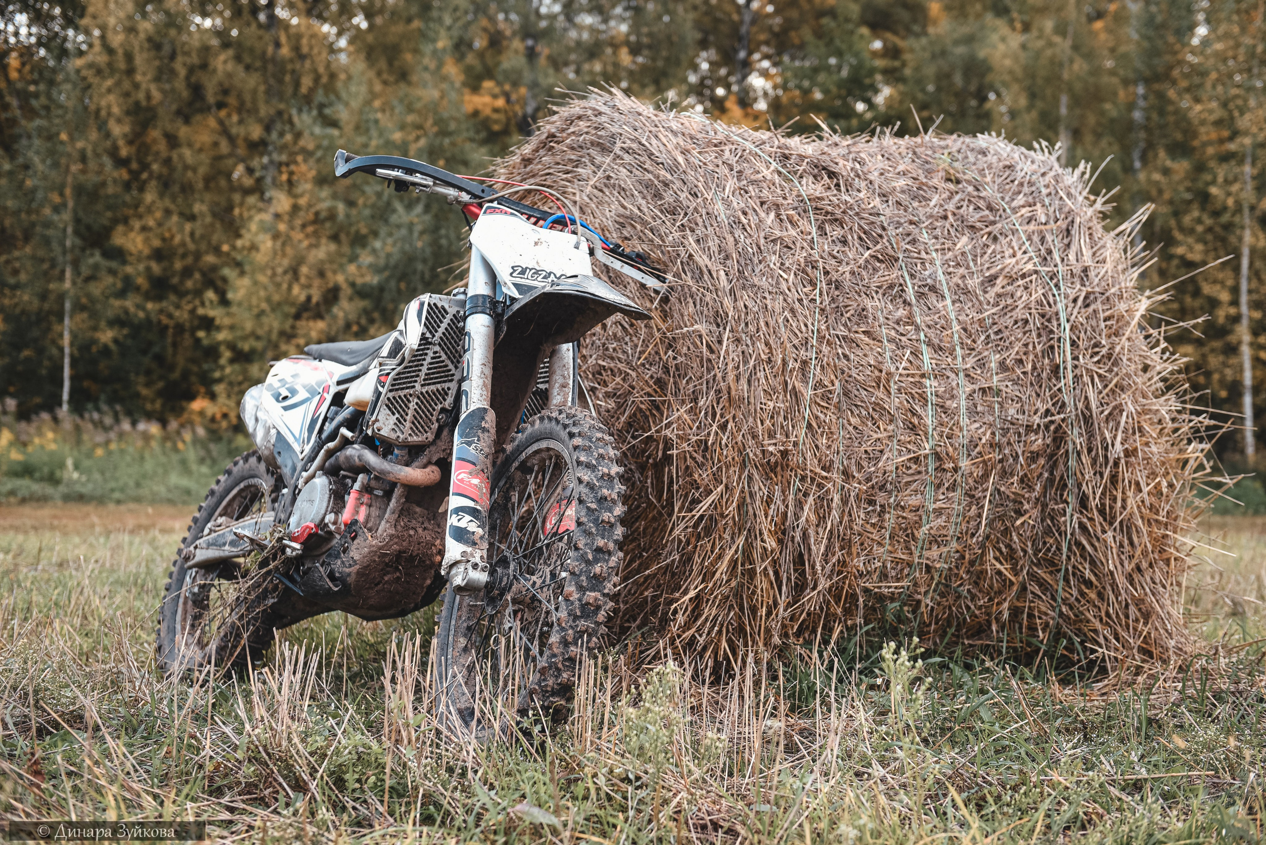 Кукушкин овраг. Осенний путь назад. Мотофотограф в Нижнем Новгороде Динара Зуйкова