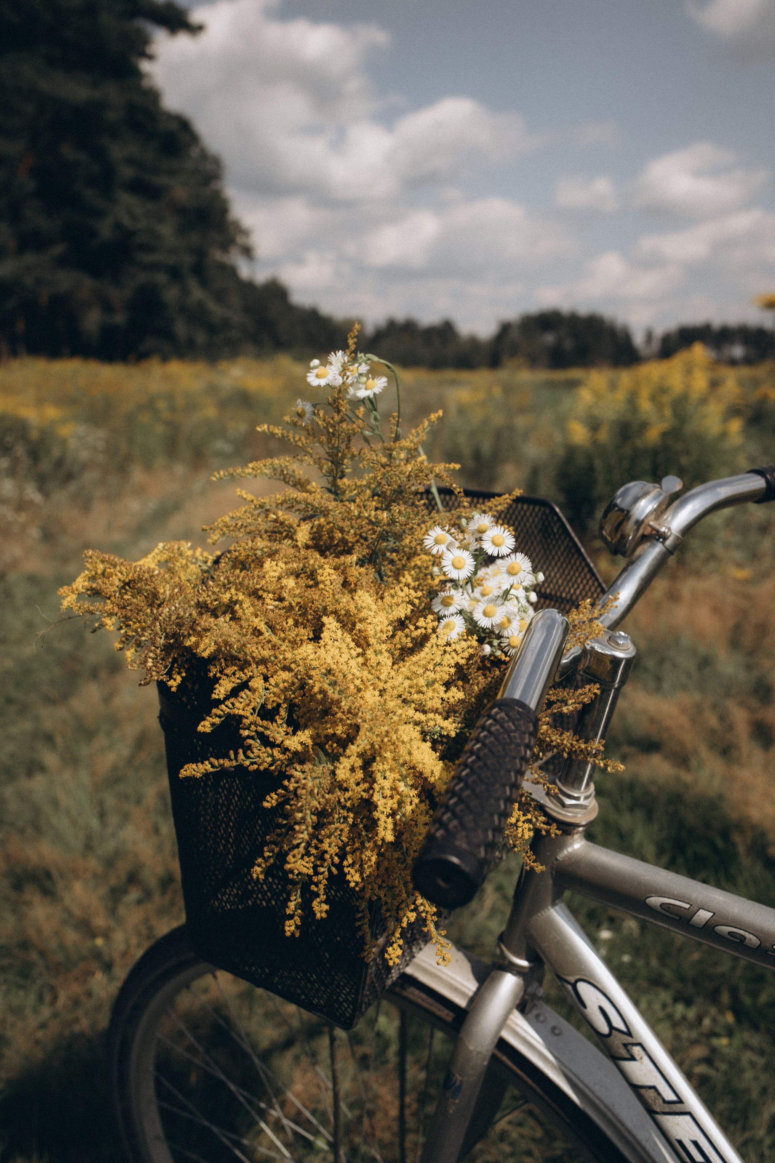 Филипп и Софа. Семейный и свадебный фотограф Анна Кожокарь