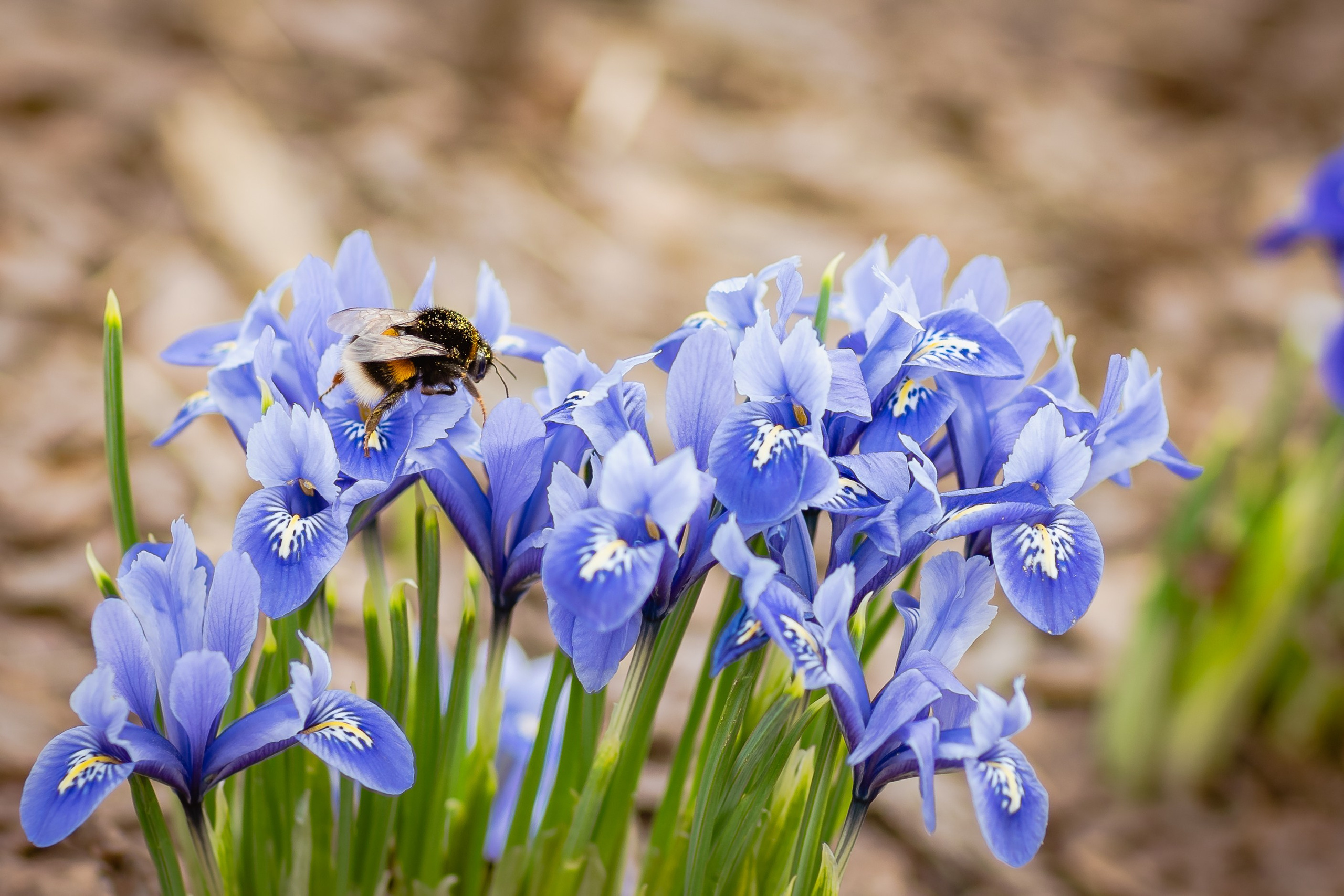 Фотосъемки на природе прогулки семейные фотопрогулки