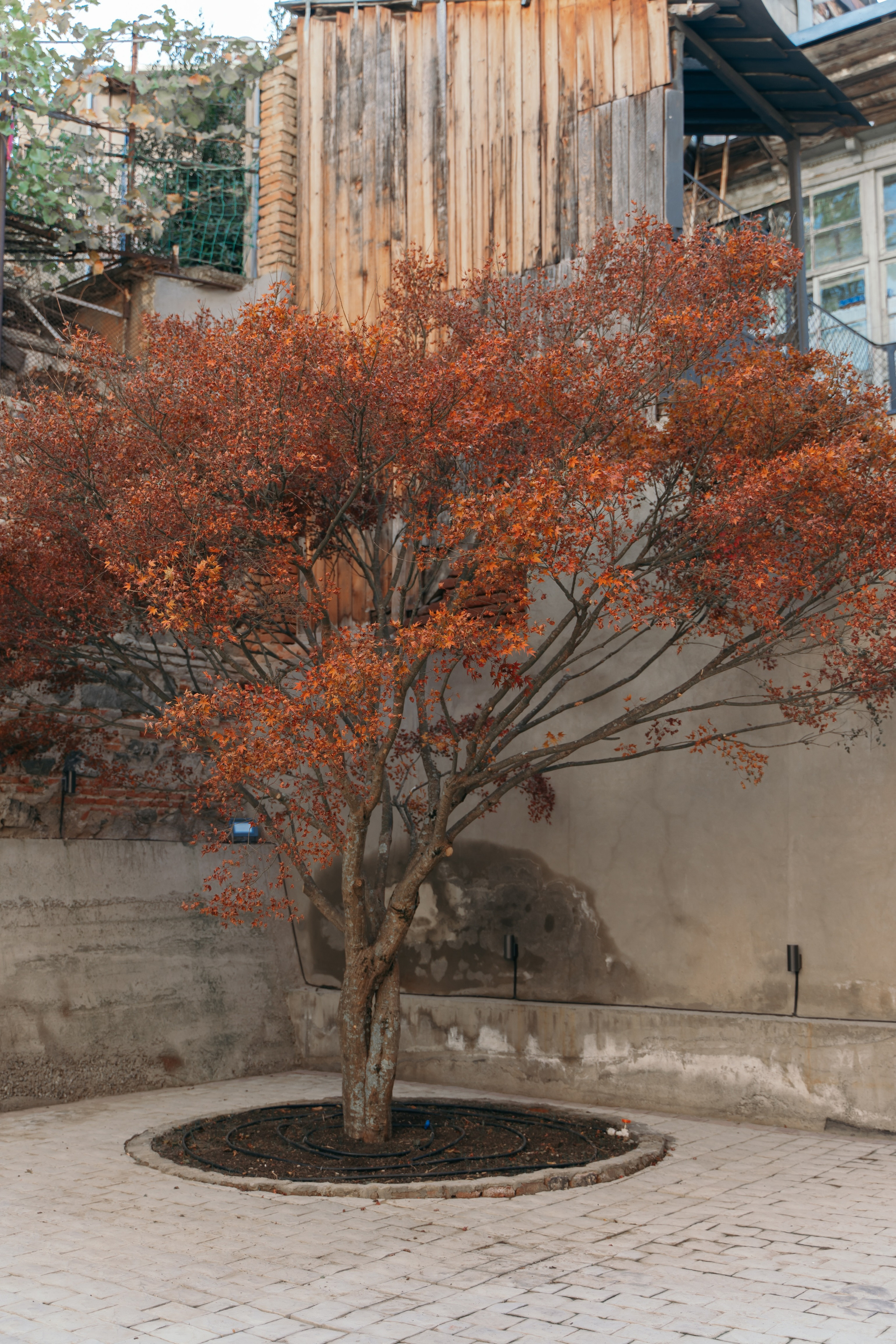 Пейзажи. Reportage and Real Estate Photographer