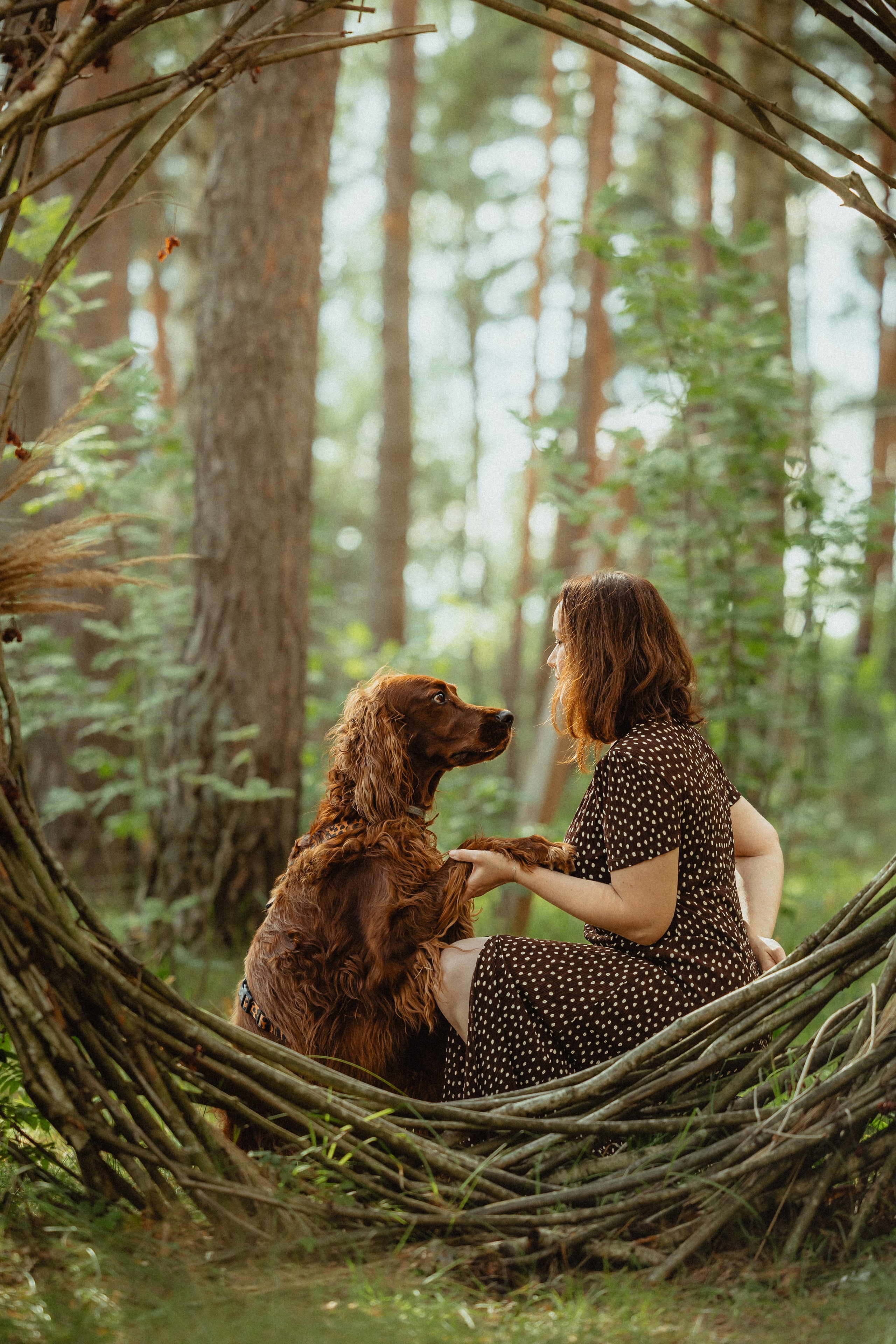 Выездной дог-тренинг от школы «Шерсть имею»
