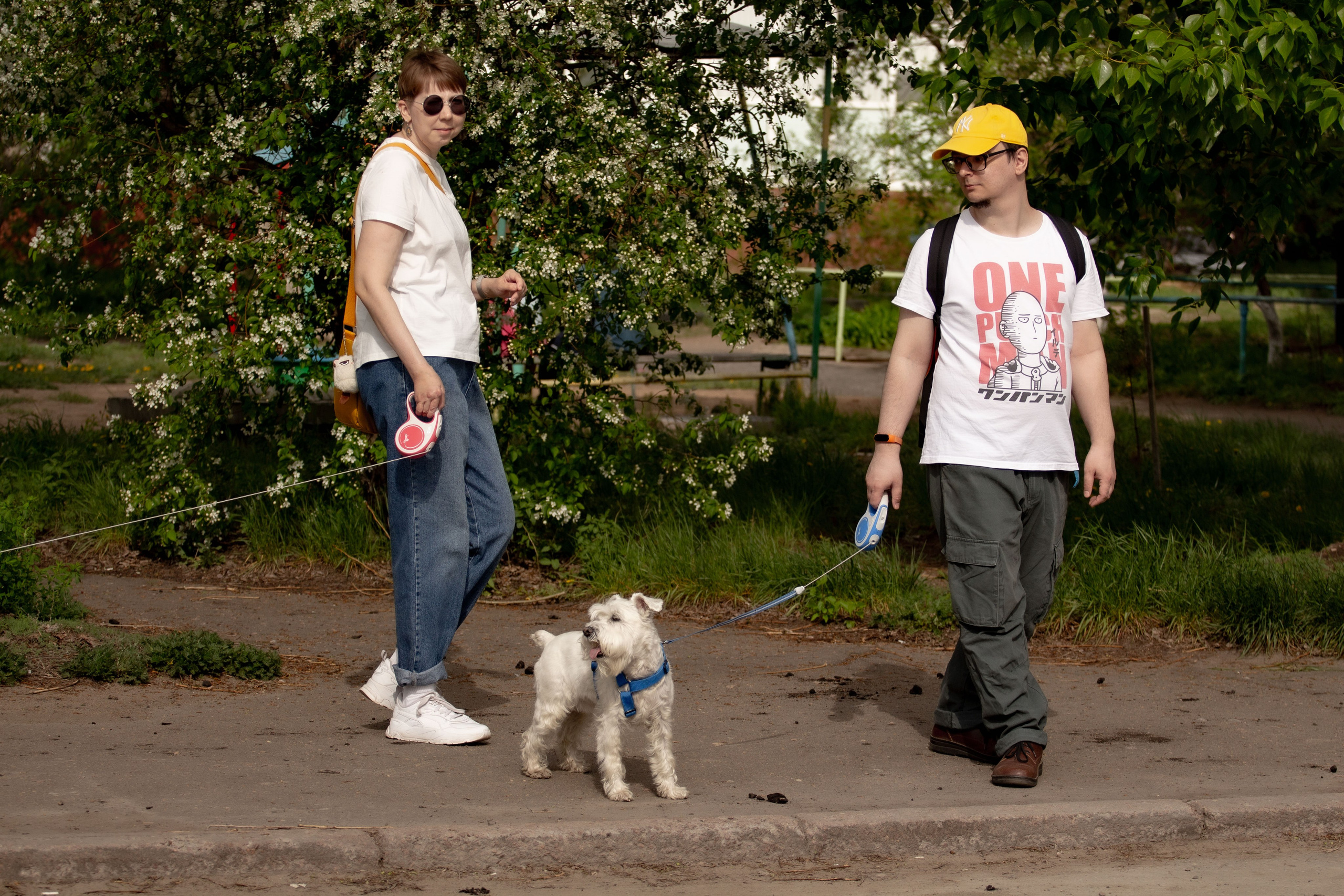 Цвергшнауцеры и их хозяева Андрей и Полина. Фотограф Екатерина Козловская