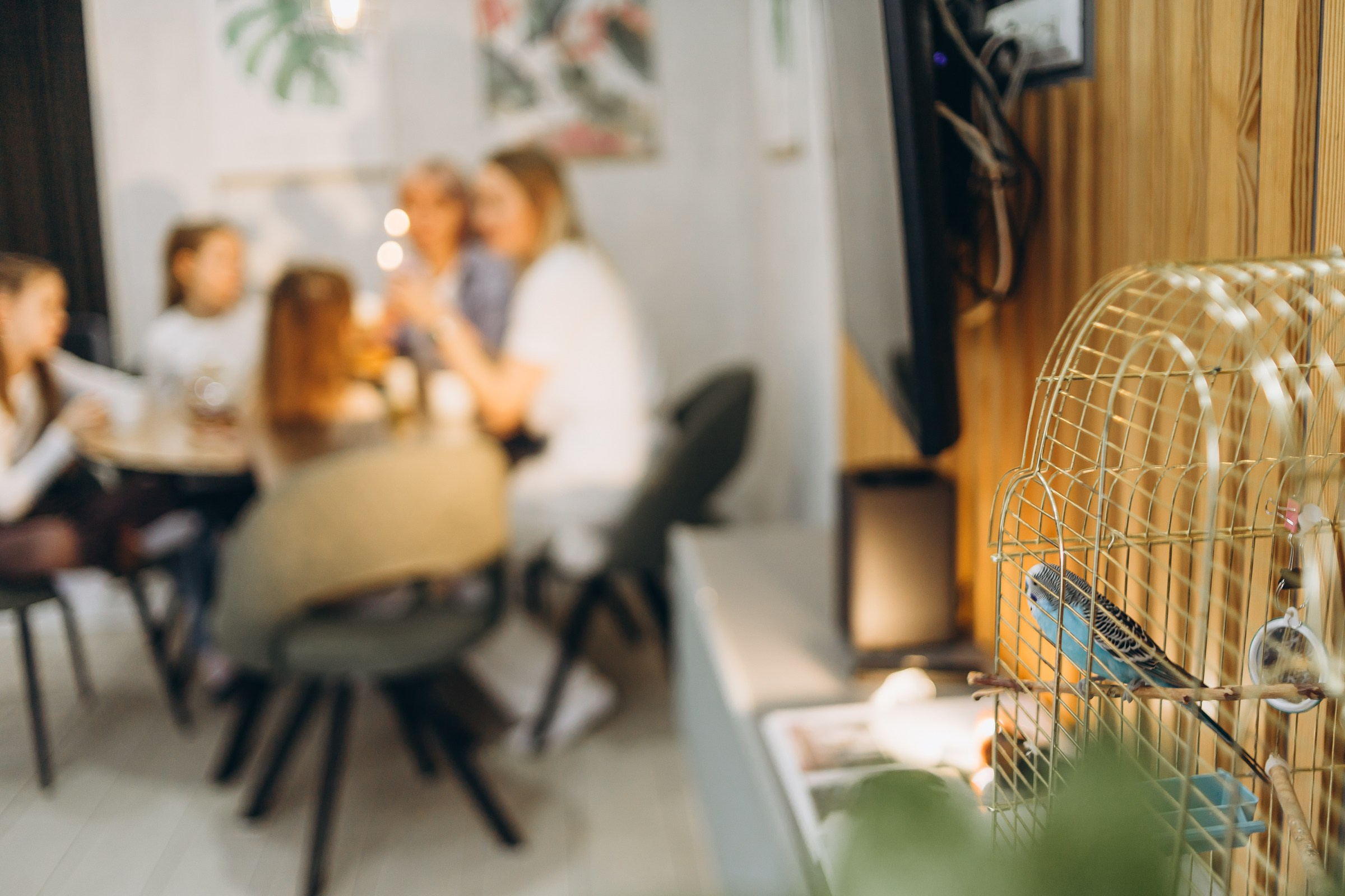 Домашняя фотосессия. Семейный фотограф в Волгодонске Краченцева Анна