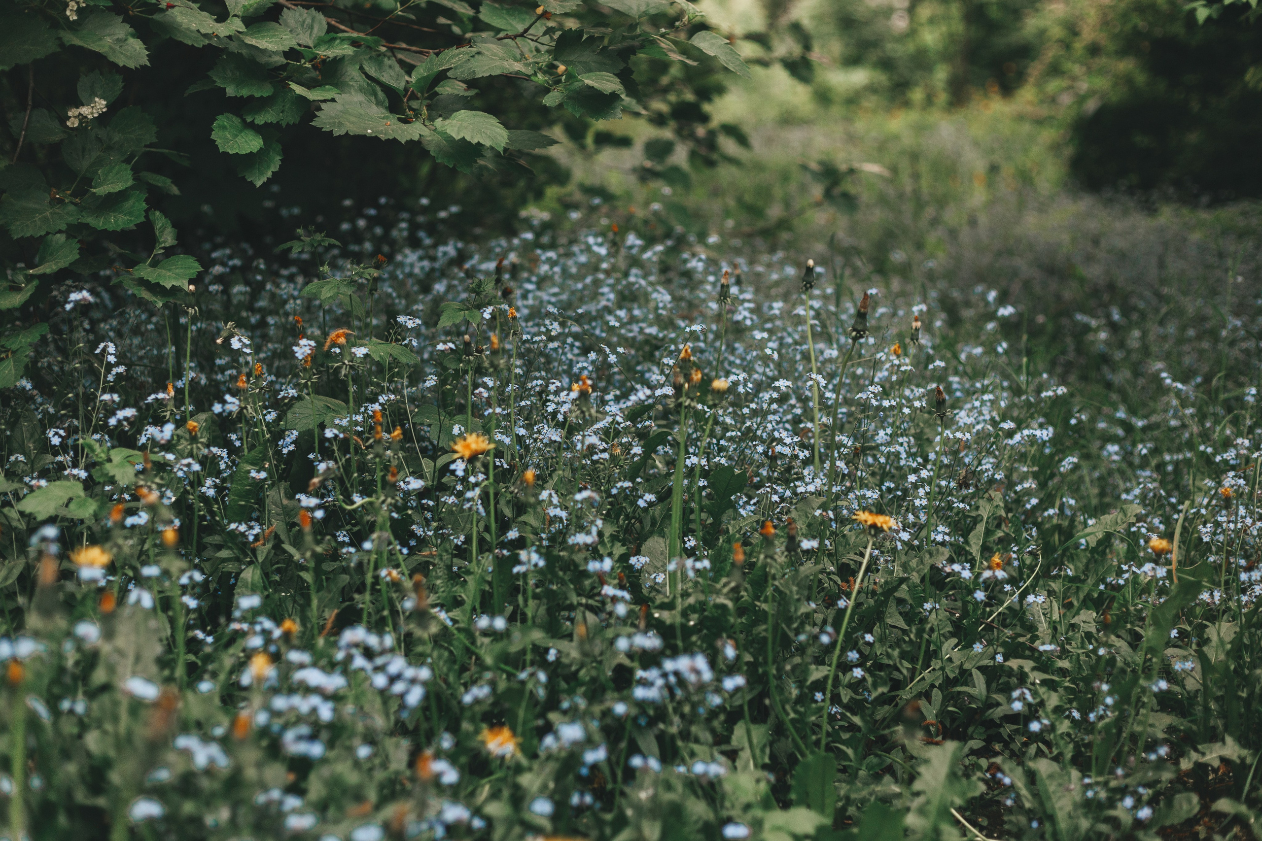Пятёрка, Ленинский район | Ярославль. Фотограф в Ярославле Ольга Пыненкова