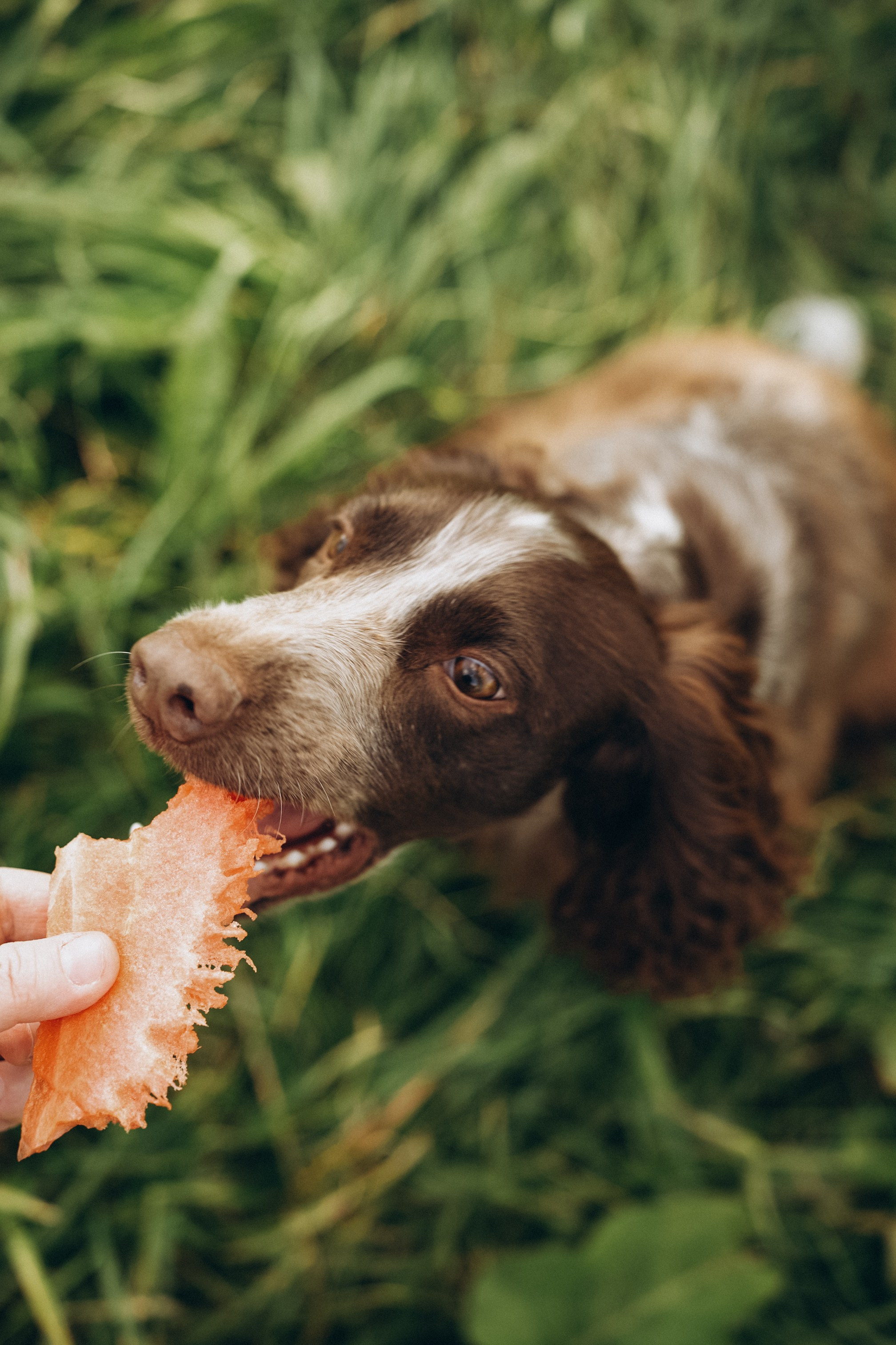 Семейная история. Семейный свадебный фотограф Екатеринбург Первоуральск Шарнина Алёна
