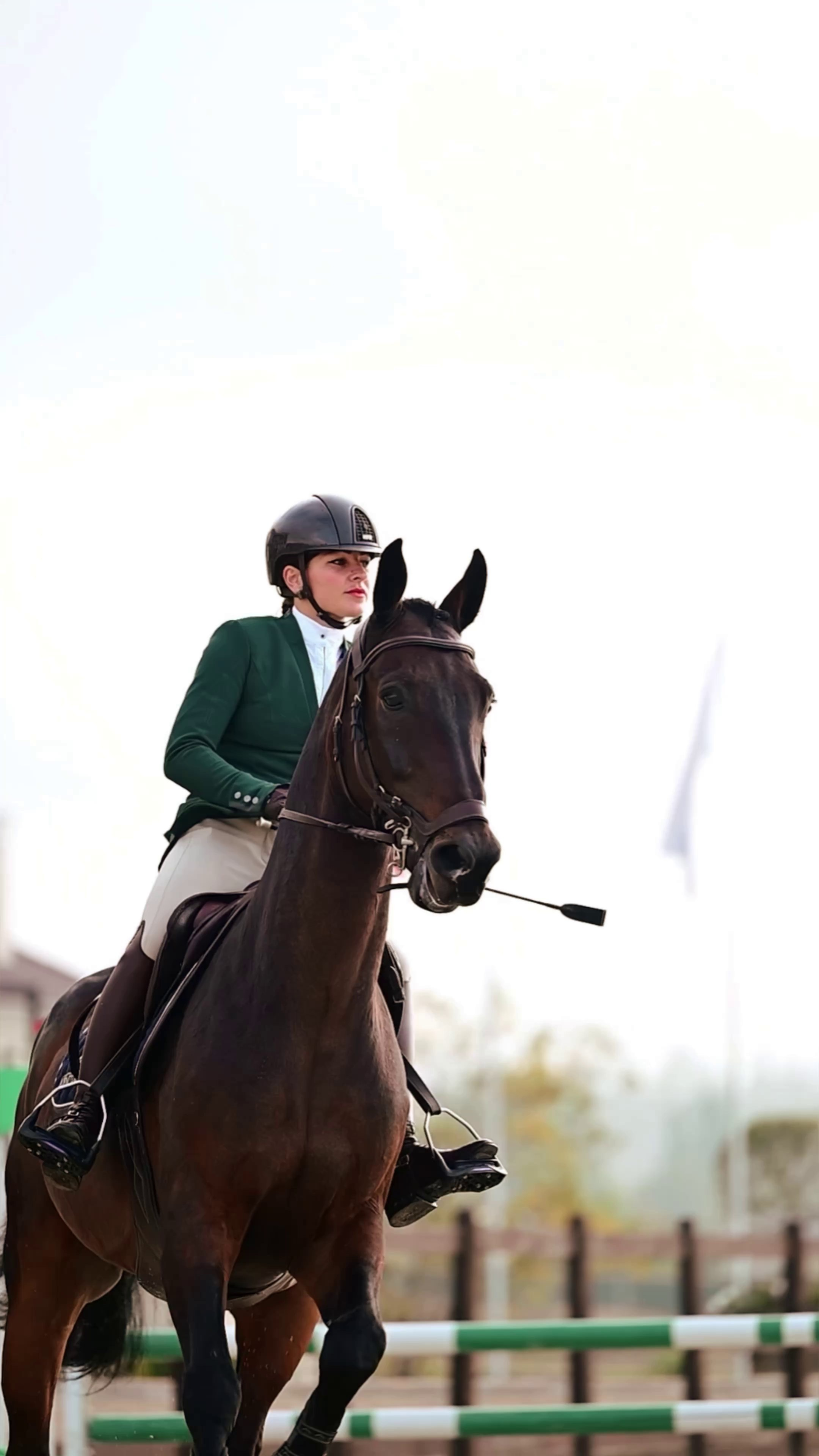 Видео Конкур|Рысистые бега. Мила Астахова