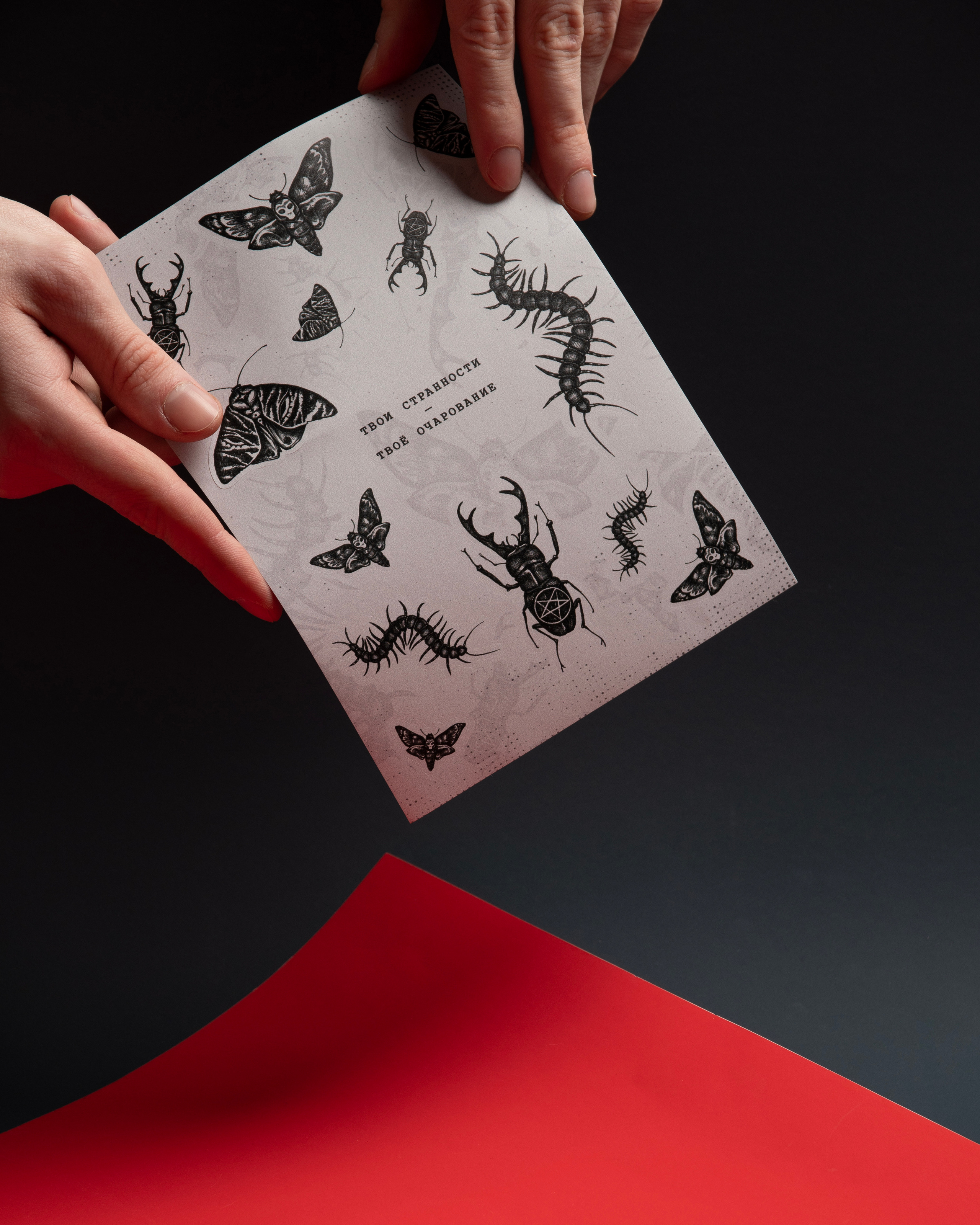 Мерч «Жуки». Предметный и портретный фотограф Конорев Роман | Санкт-Петербург