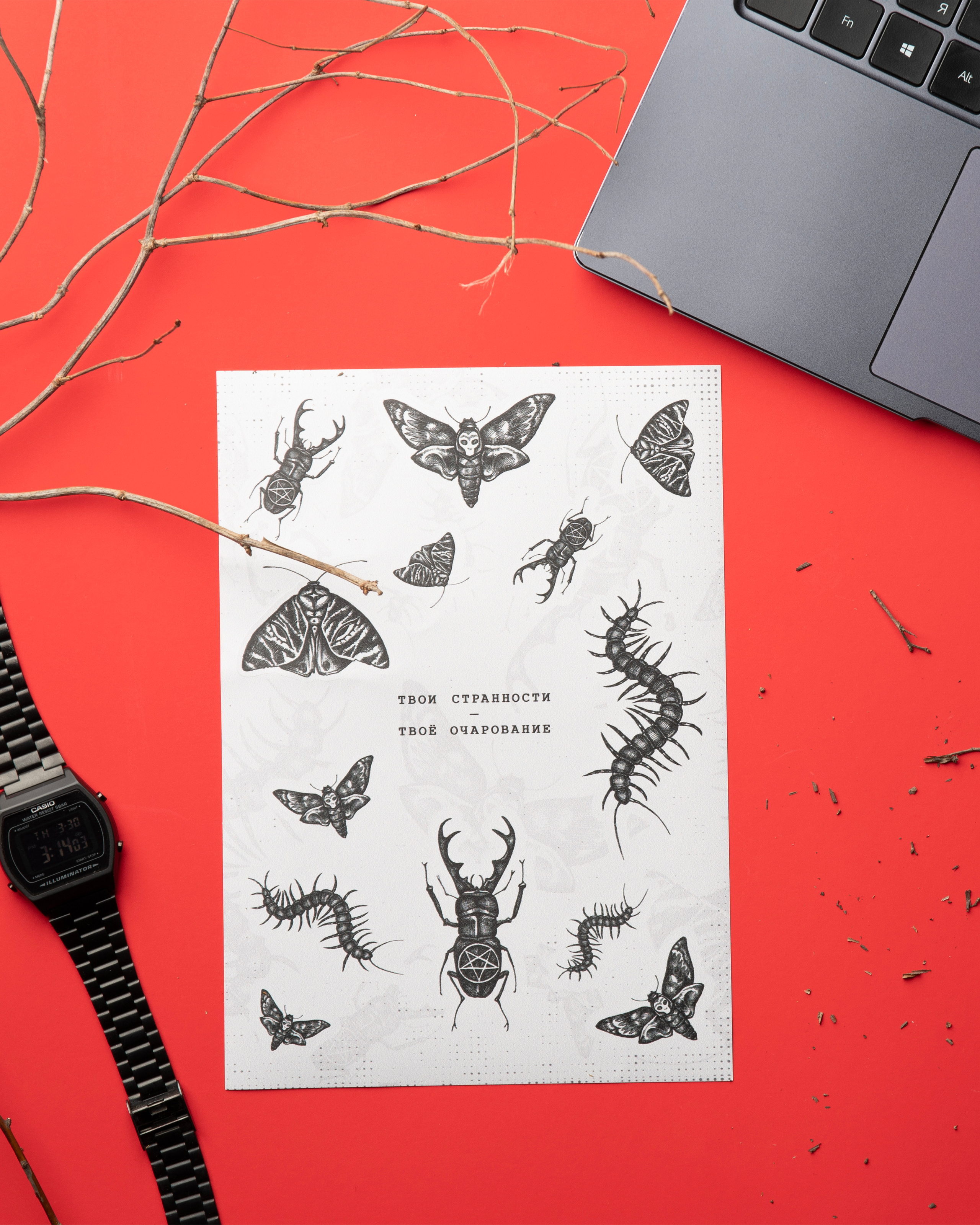 Мерч «Жуки». Предметный и портретный фотограф Конорев Роман | Санкт-Петербург