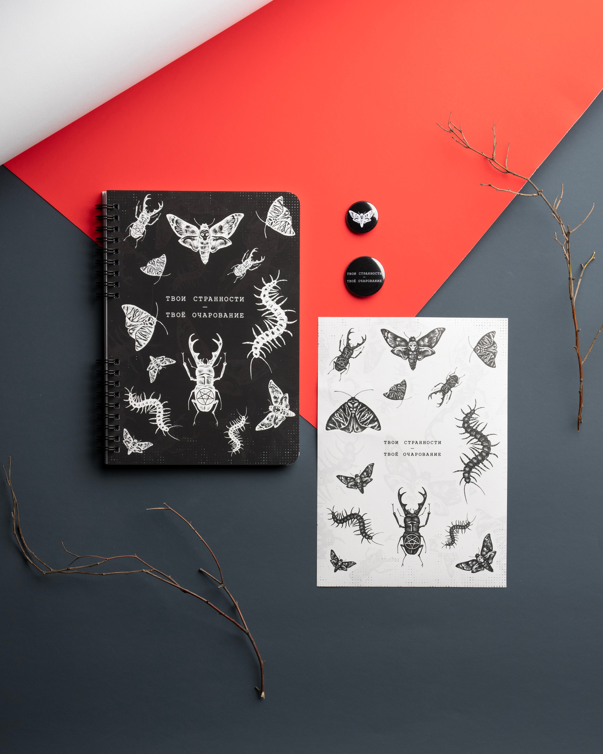 Мерч «Жуки». Предметный и портретный фотограф Конорев Роман | Санкт-Петербург