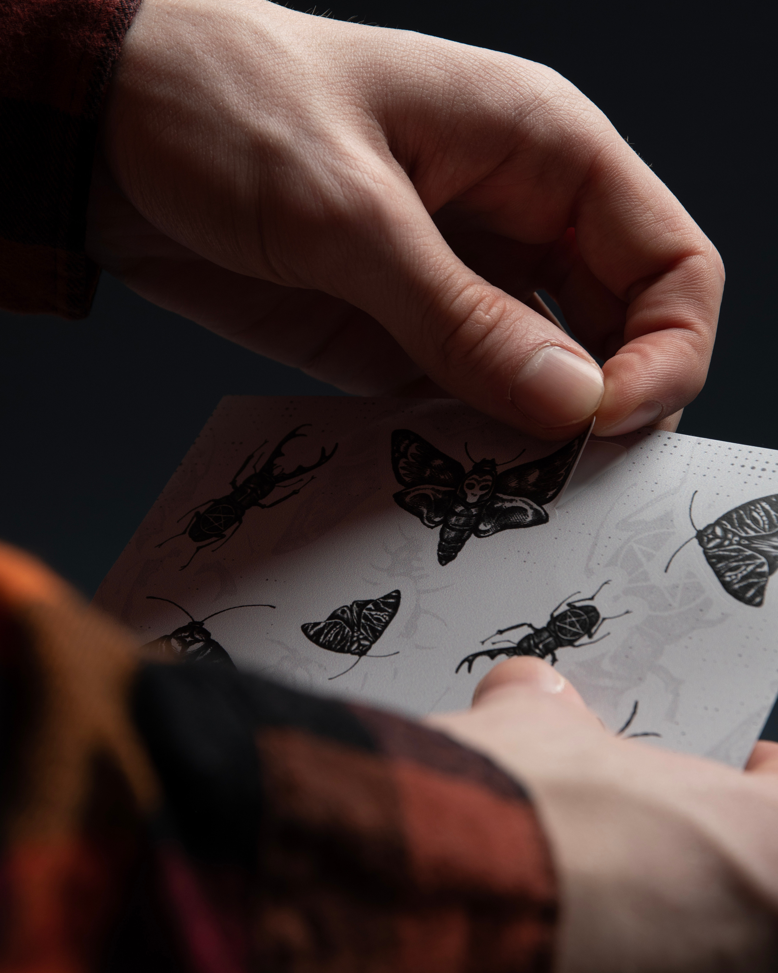 Мерч «Жуки». Предметный и портретный фотограф Конорев Роман | Санкт-Петербург