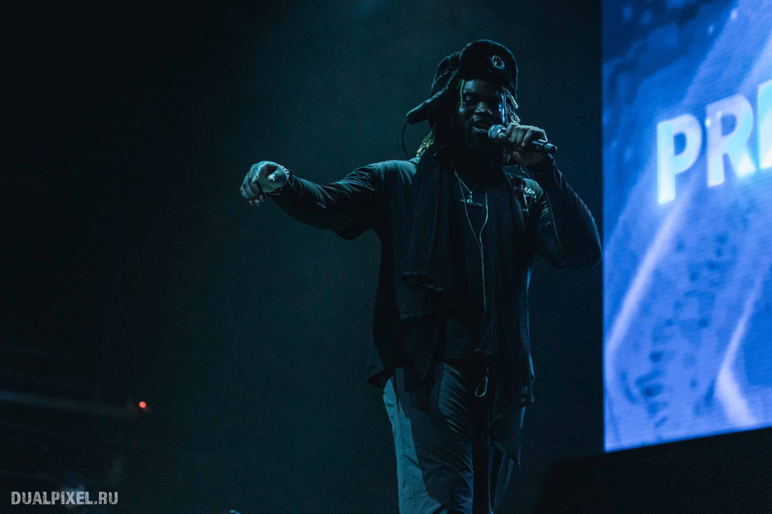 Prince Of Falls. Магия музыки в кадре: Концертная Фотография