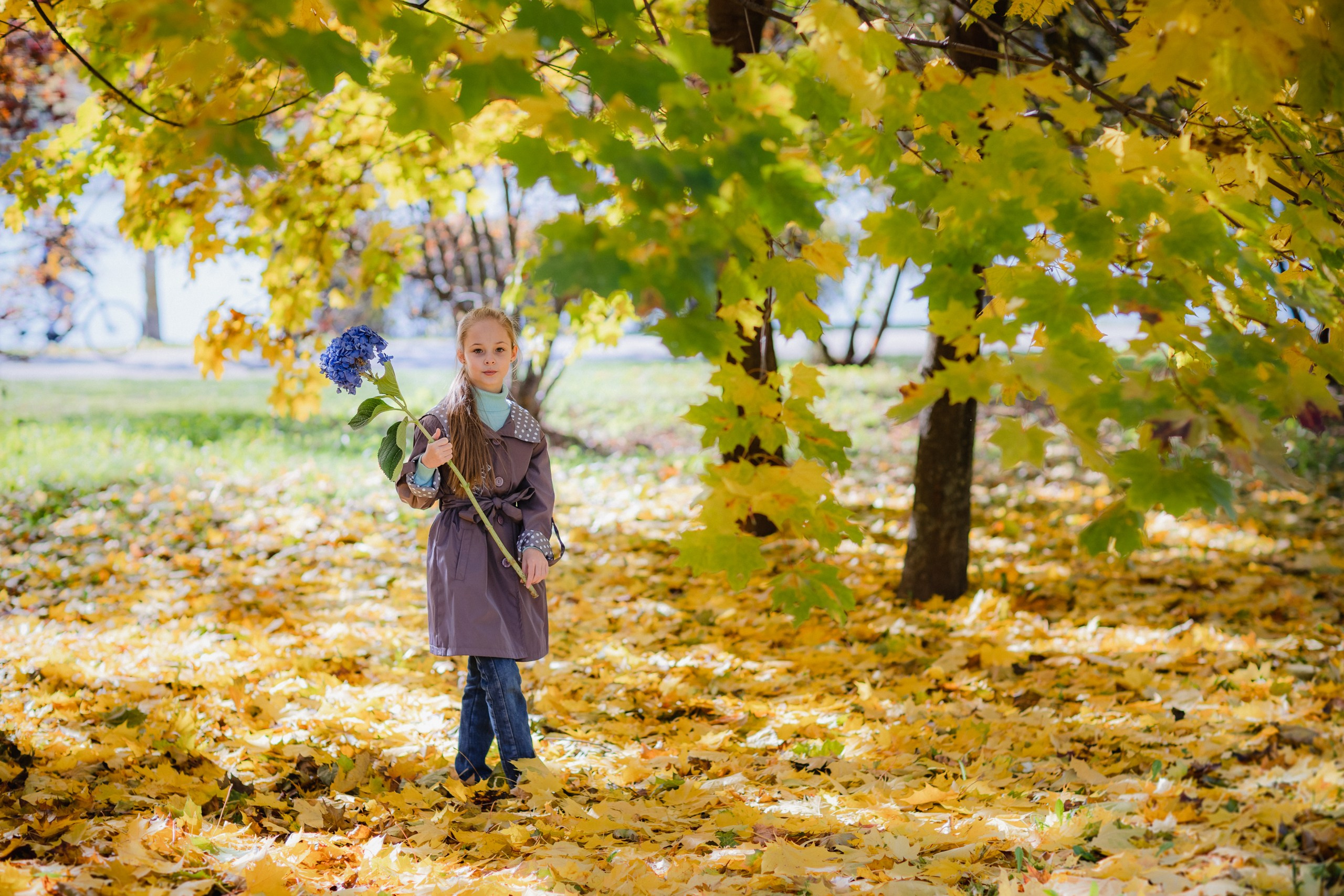 Фотосъемки на природе прогулки семейные фотопрогулки