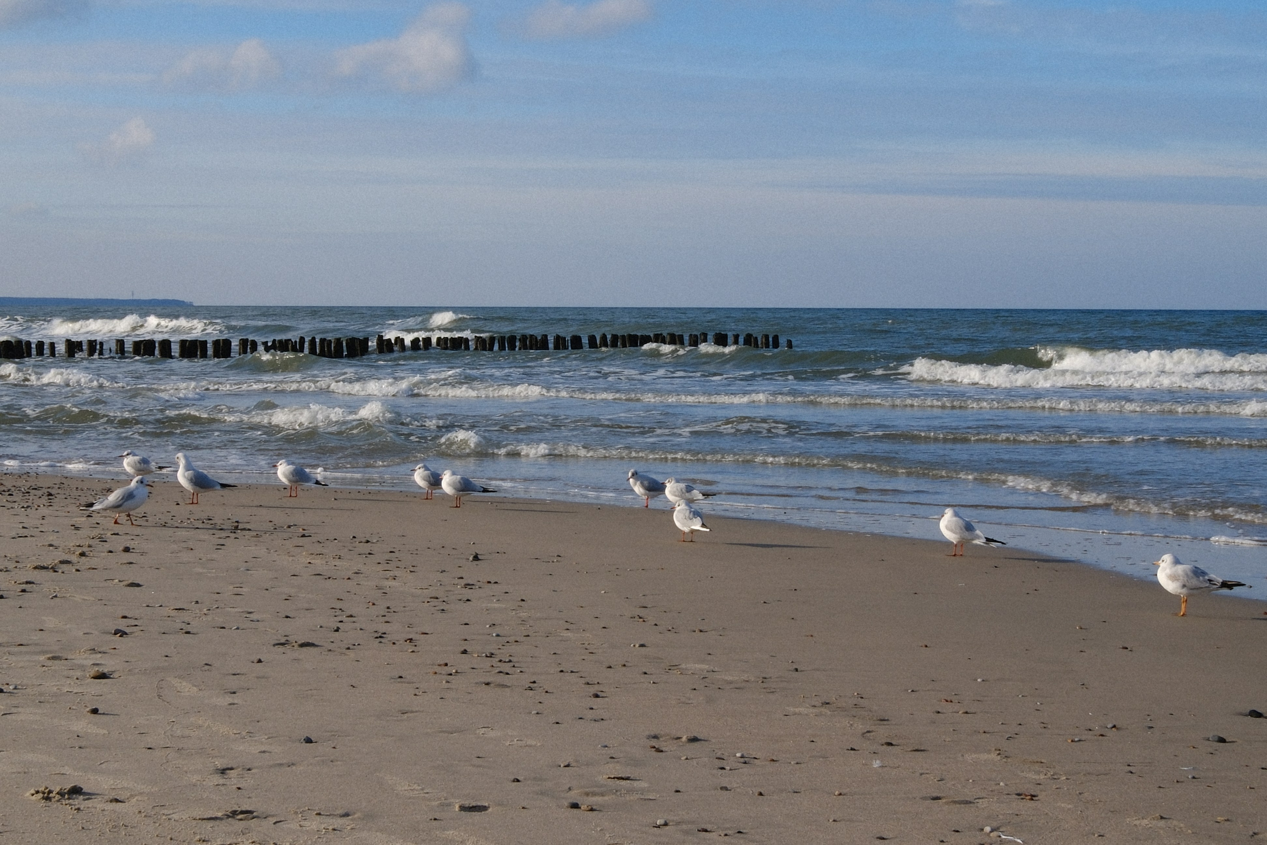 Зеленоградск. Калининградская область. Алексей Торопов фотограф