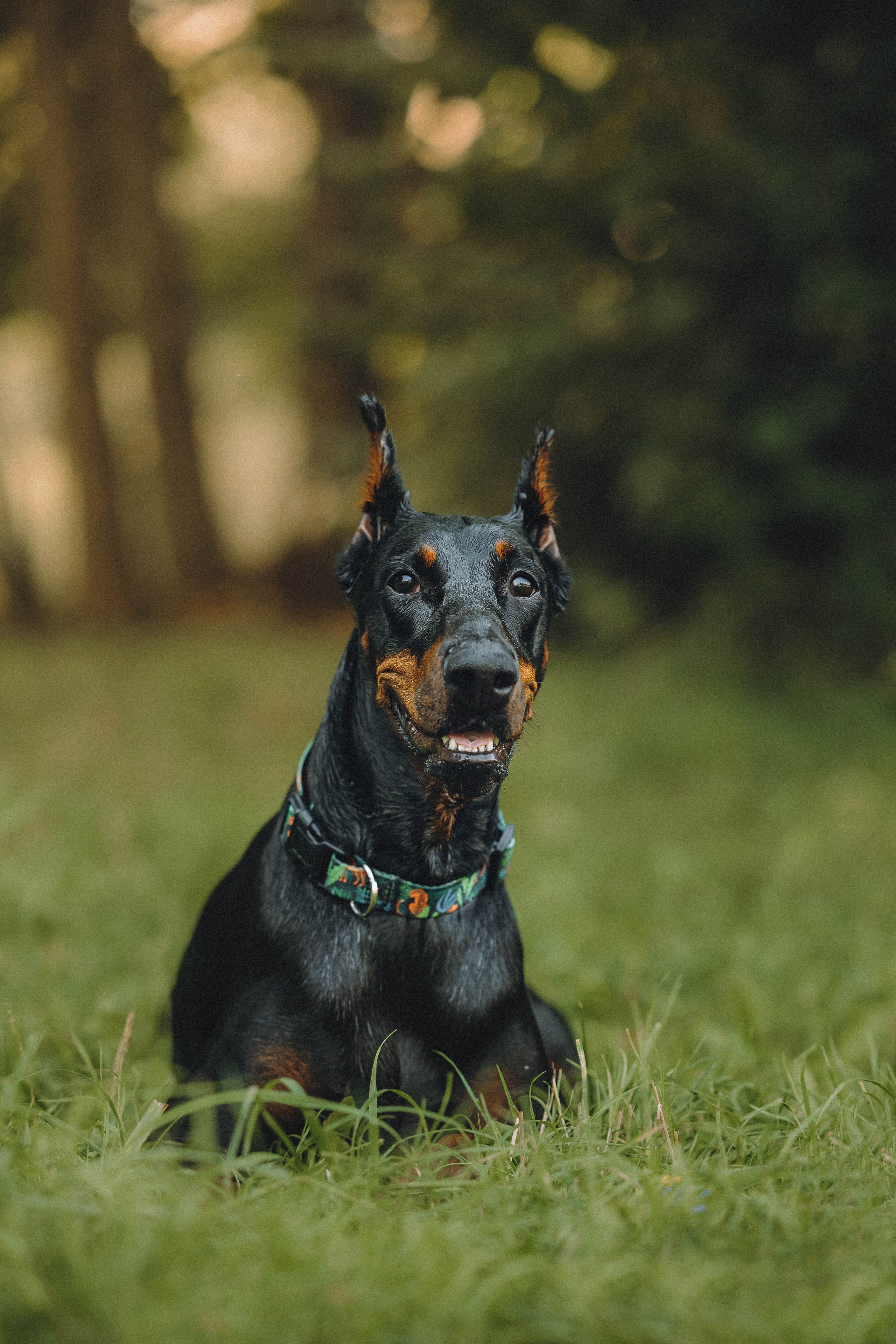 Паша и Хайди