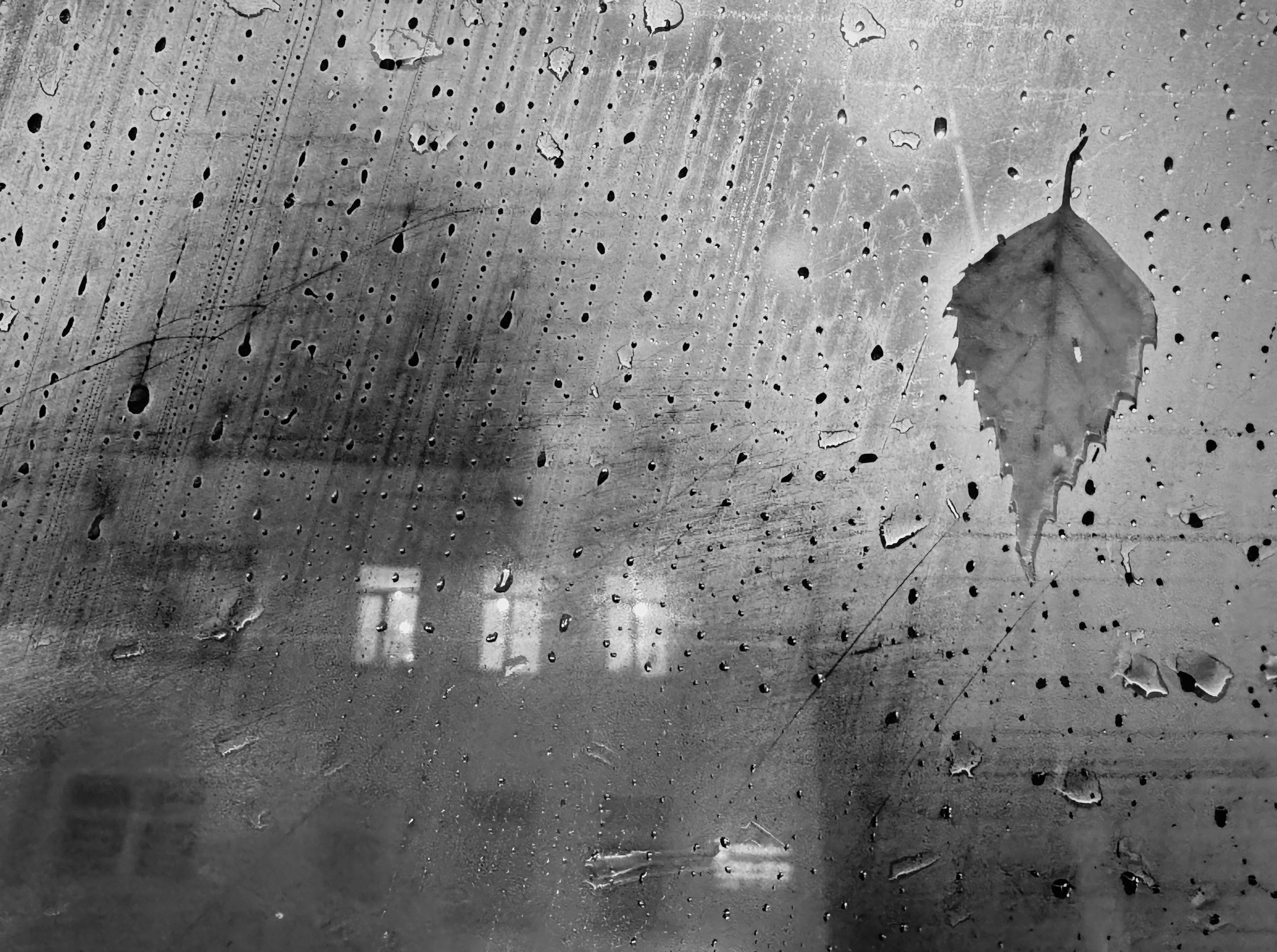 Фотограф Юлия Близнецова