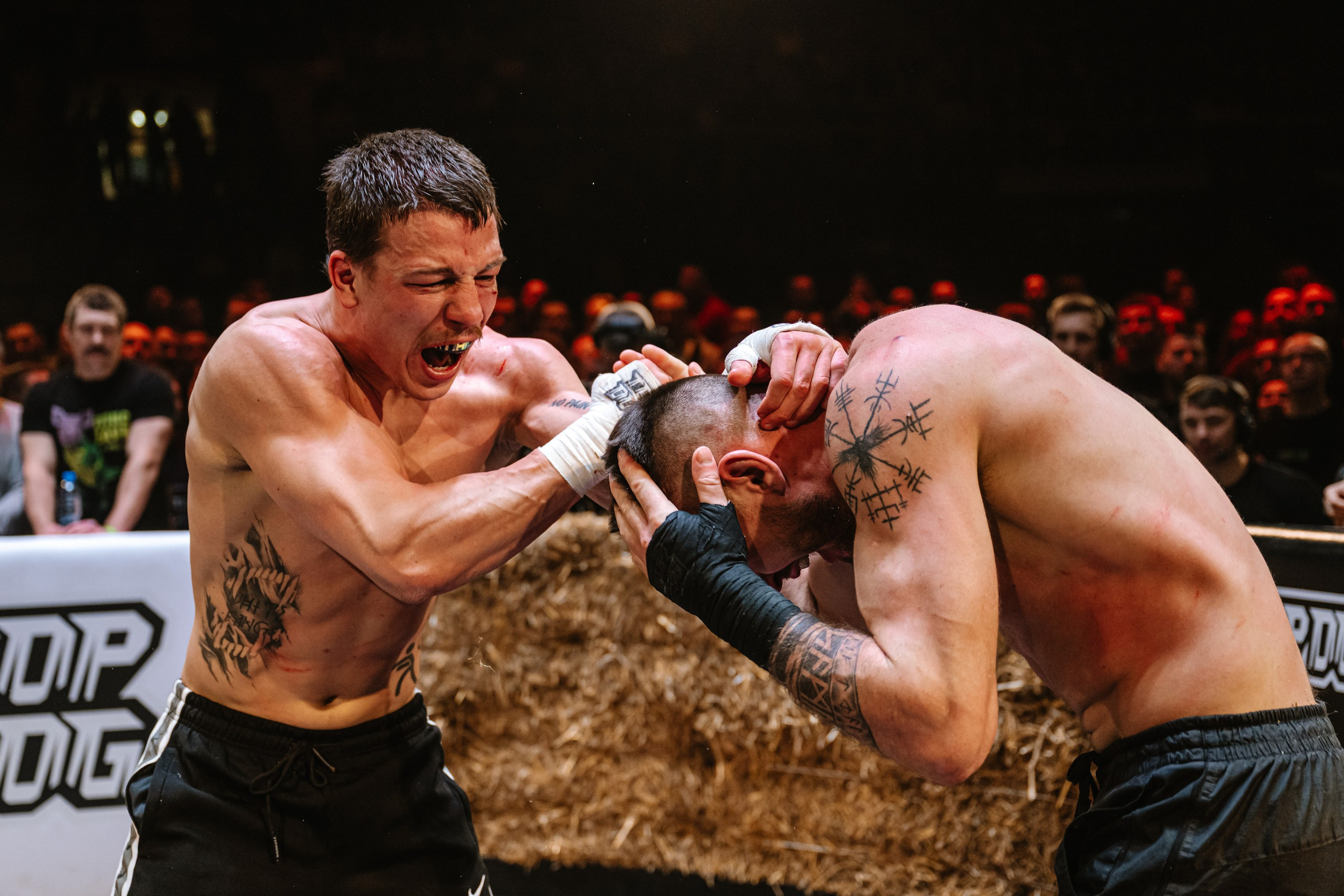 TOP DOG 2. Максим Комаров — Профессиональный фотограф