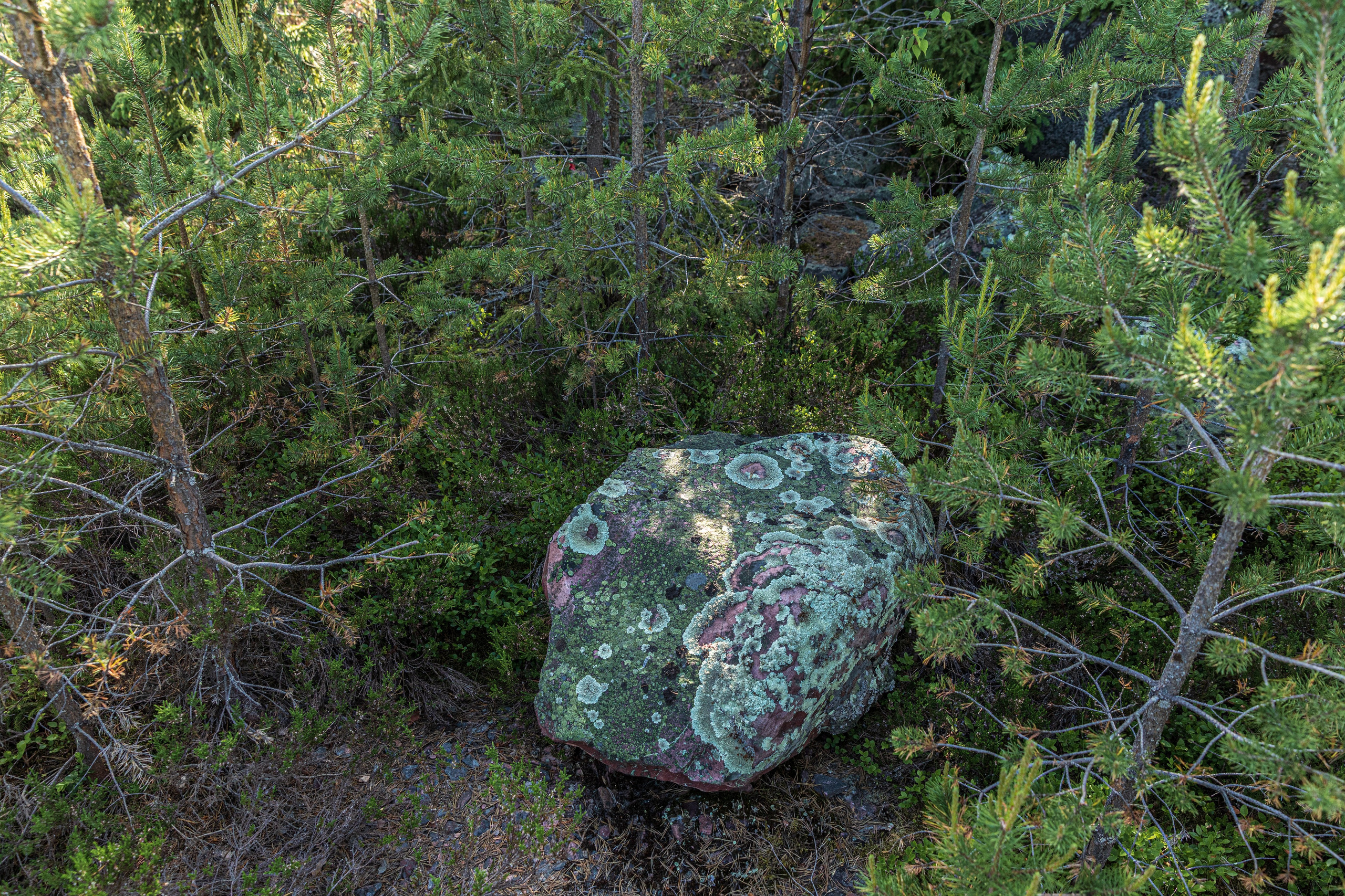 Турбаза. Фотограф в Петрозаводске Игорь Герасименко
