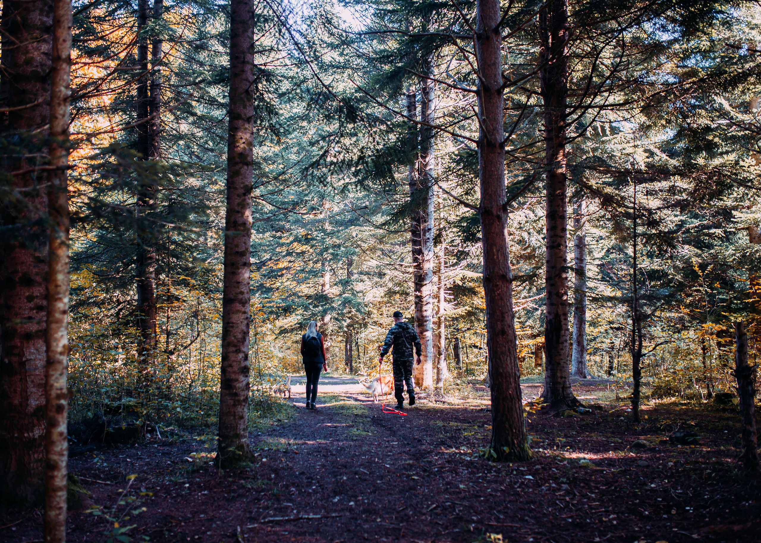 Никита и Оля. Фотограф в Приморско-Ахтарске Марьяна Чопко