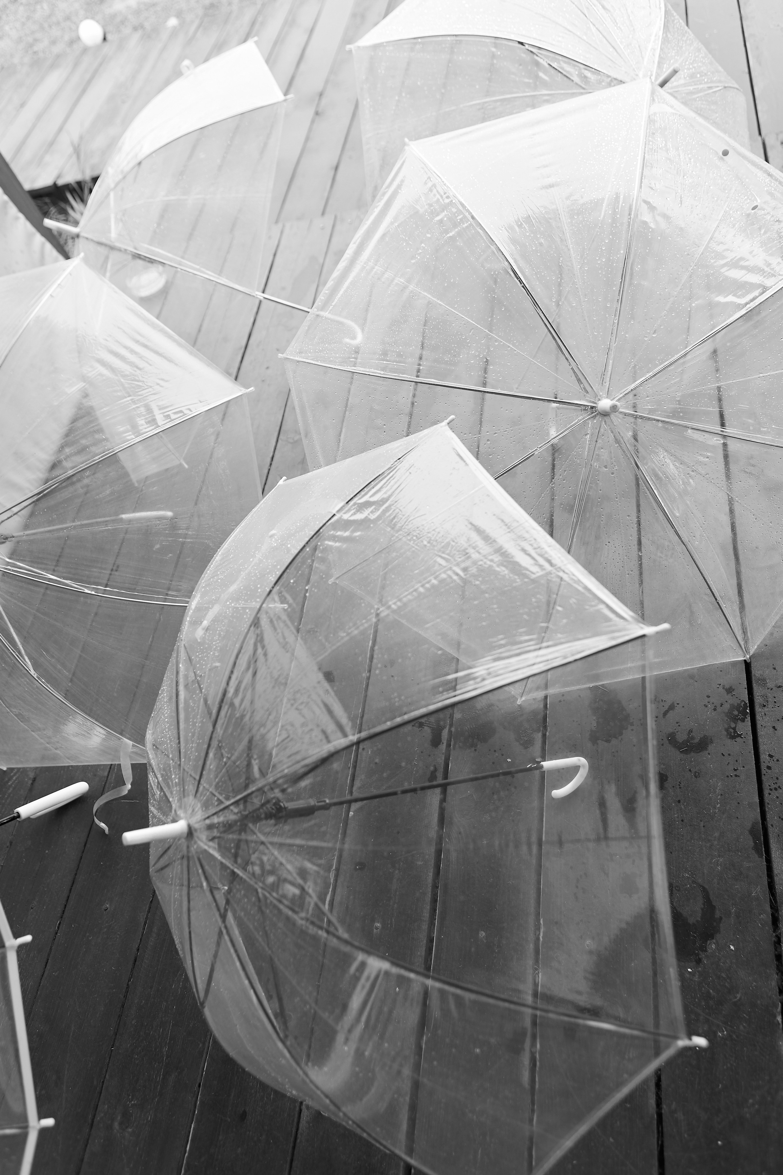 Гендерпати @guzanova_nadi. Свадебный фотограф Нижний Новгород