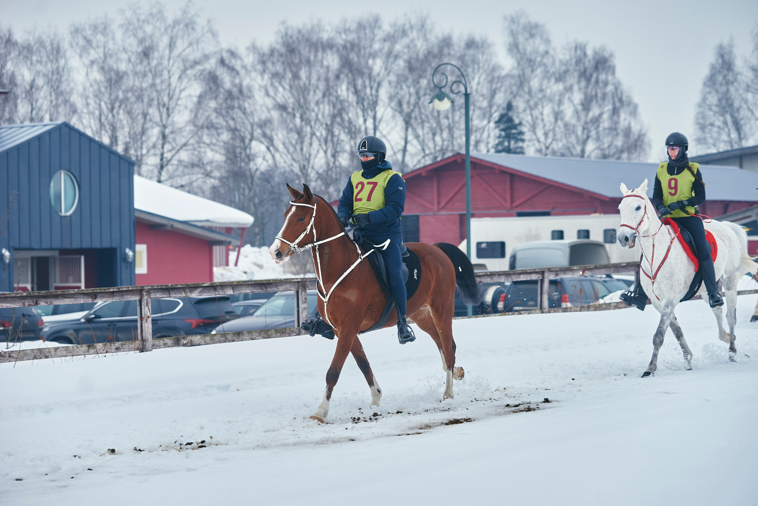 HORSE RACING. Фотограф Наталья Леонова