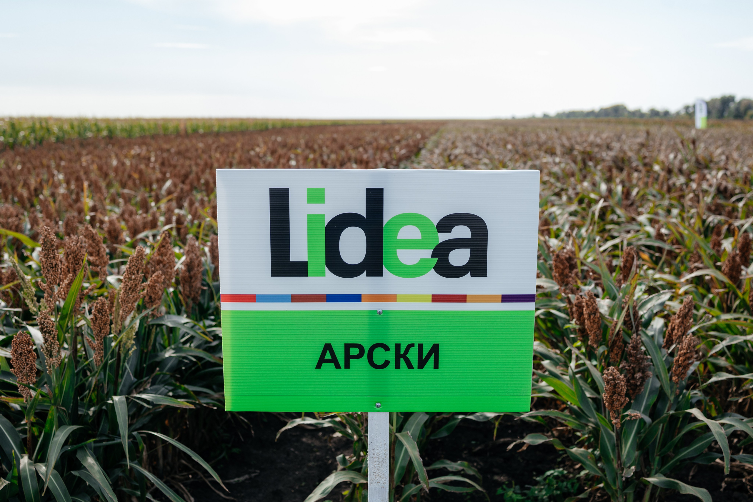 День поля. Фотограф Крохин Олег