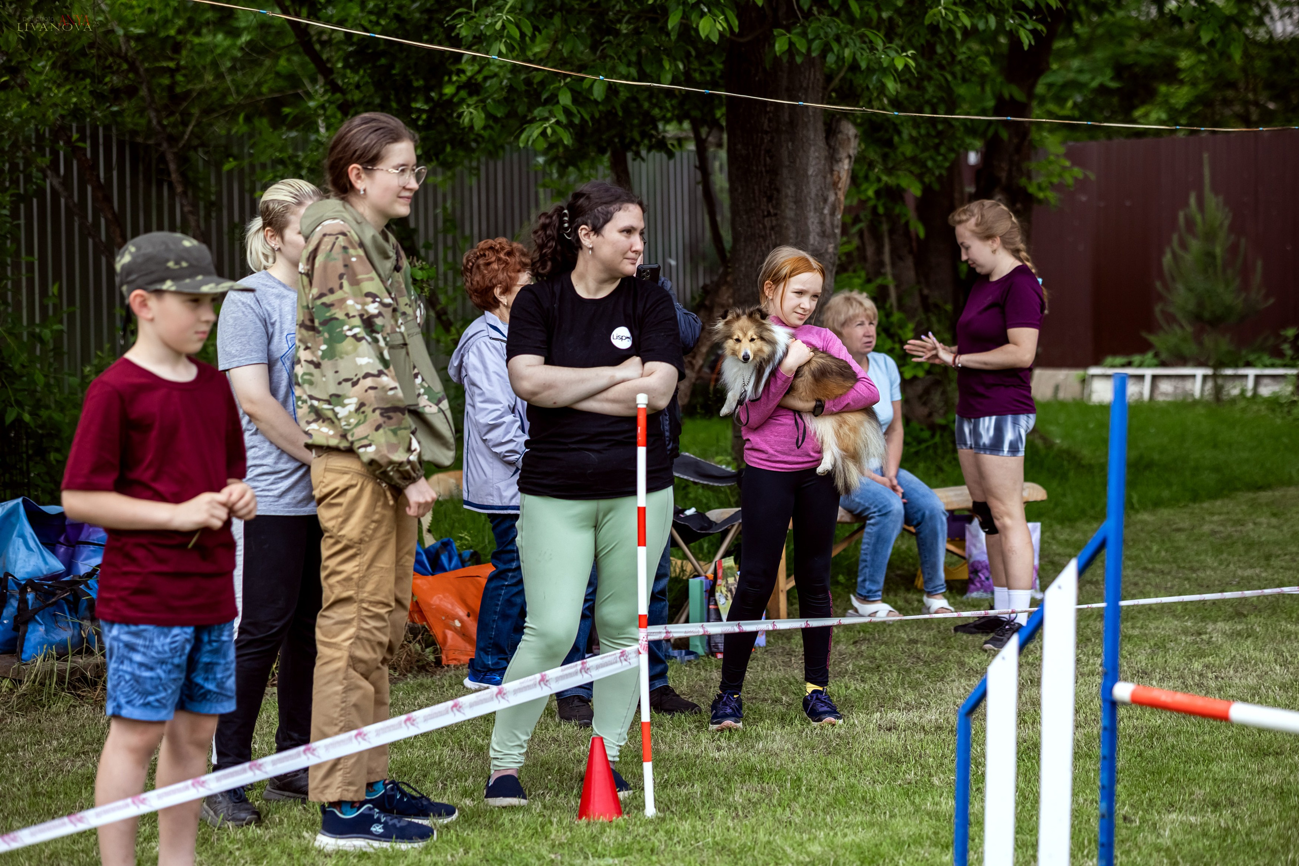 Аджилити Рыбинск. Фотограф анималист Аня Ливанова | Рыбинск