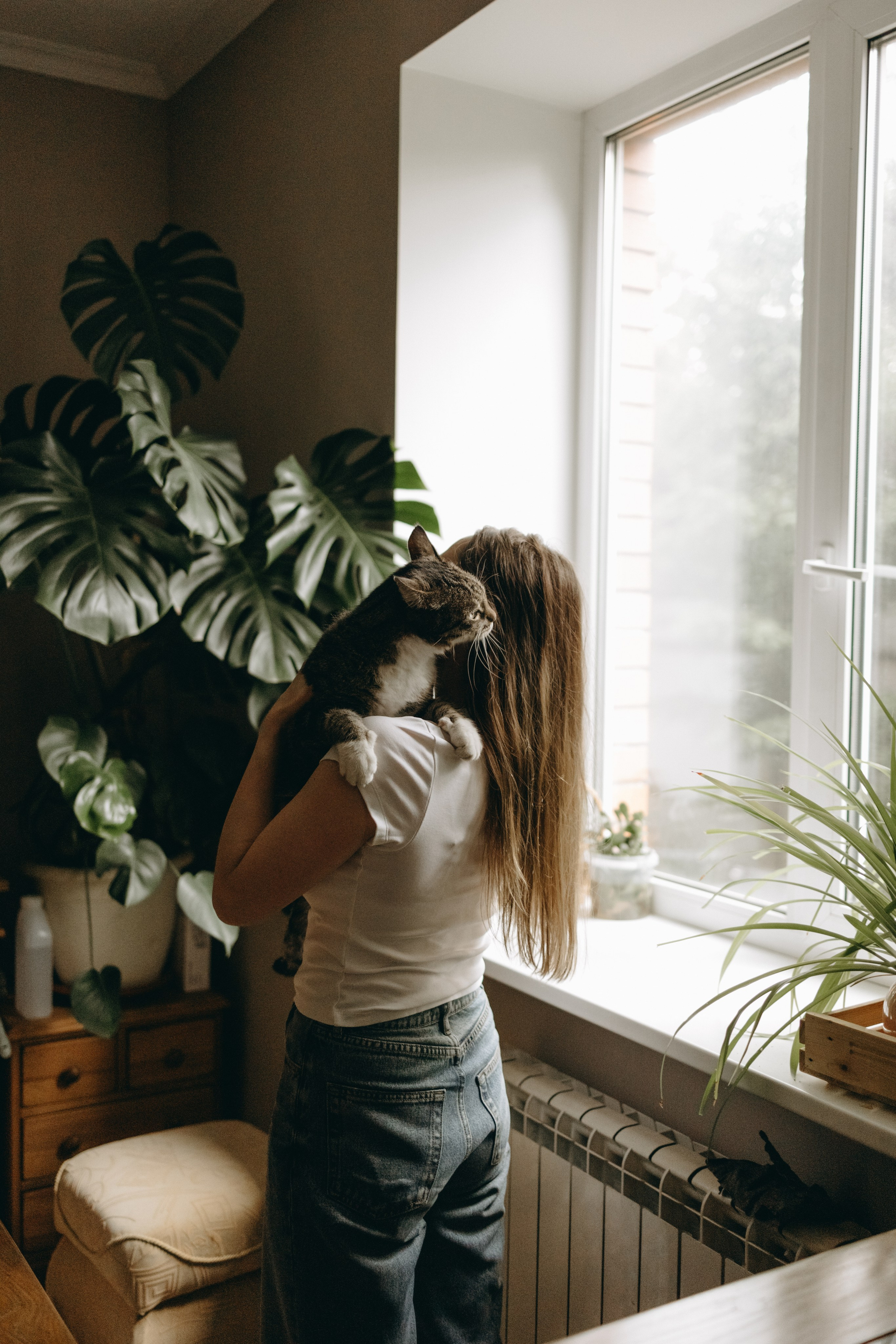 Софа и ее хвостики. Фотограф — Анималист | Санкт-Петербург