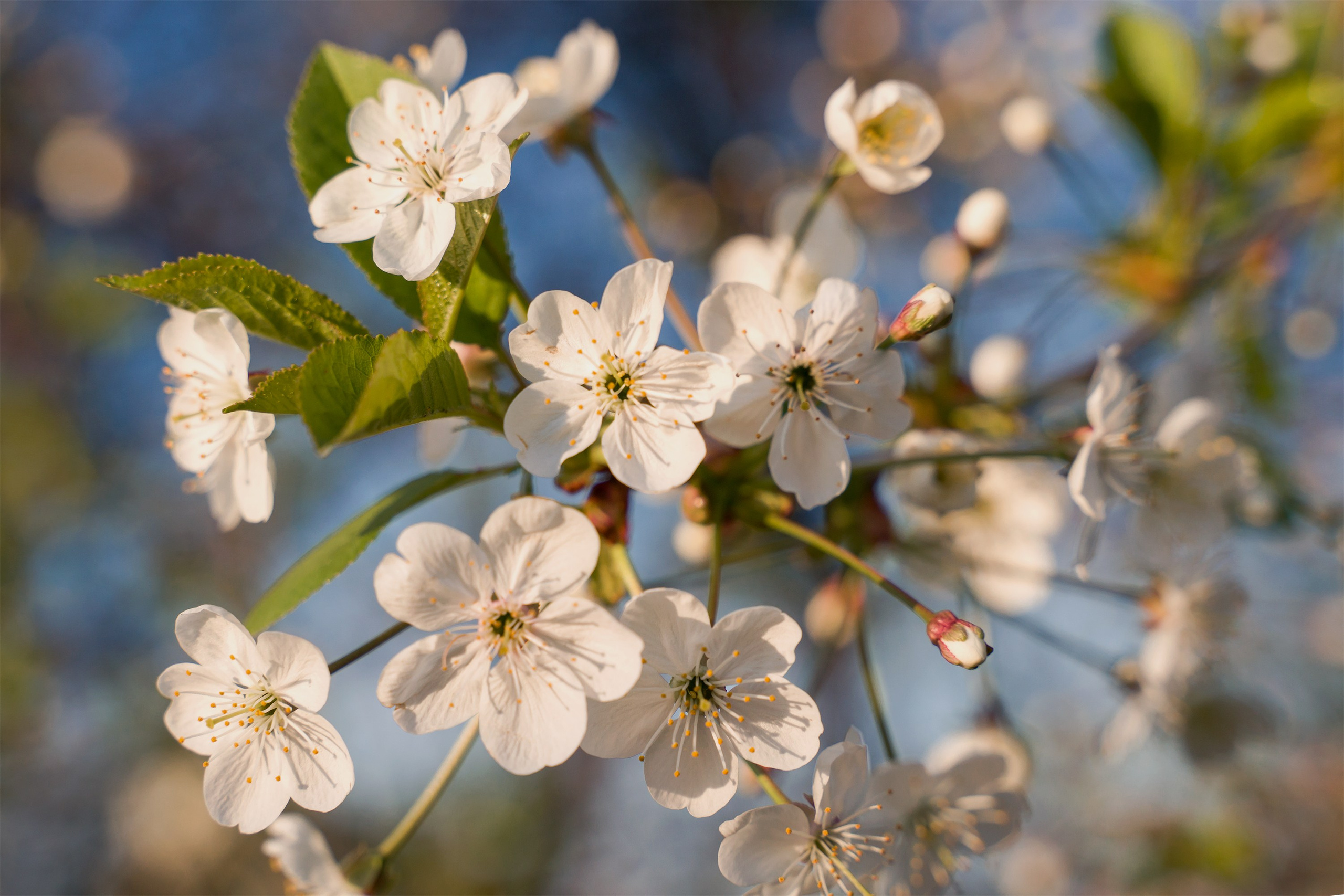 Контент-фотограф в Нижнем Новгороде Антошина Ольга