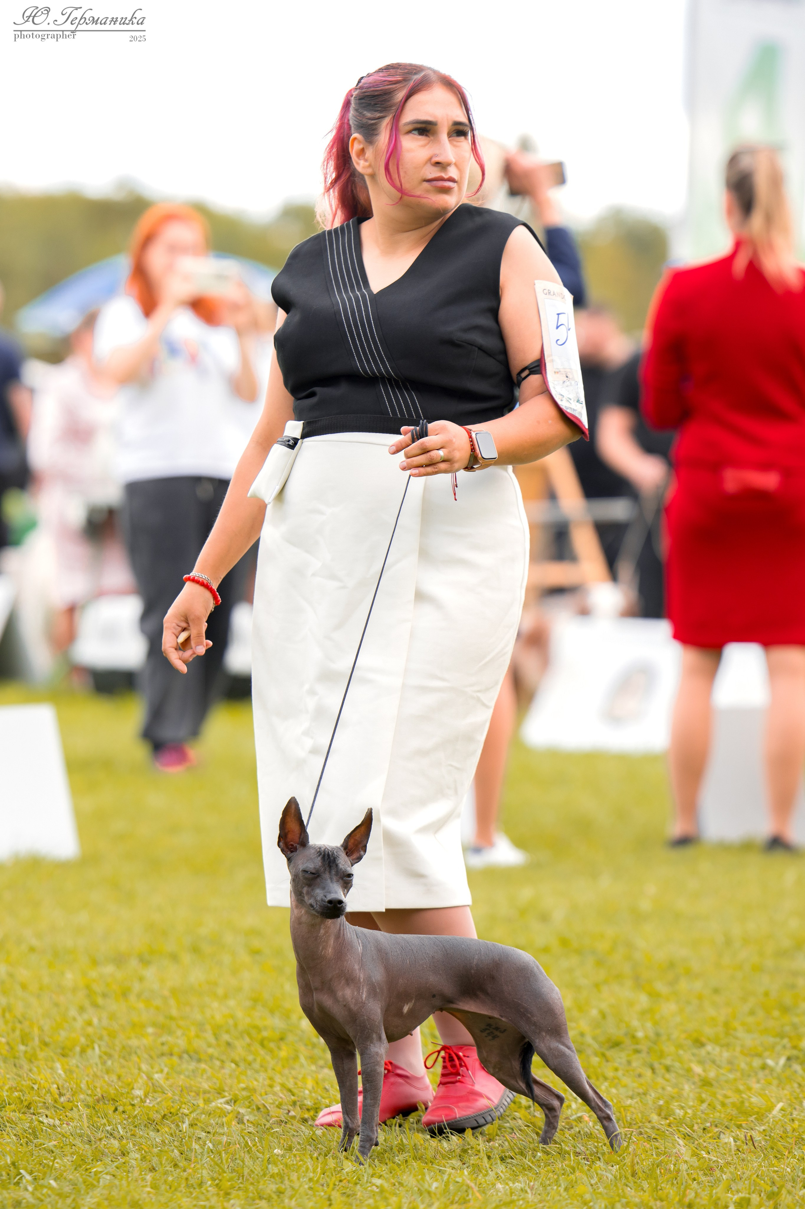 Переславль 5-7.08.2025. Фотограф-анималист Юлия Германика