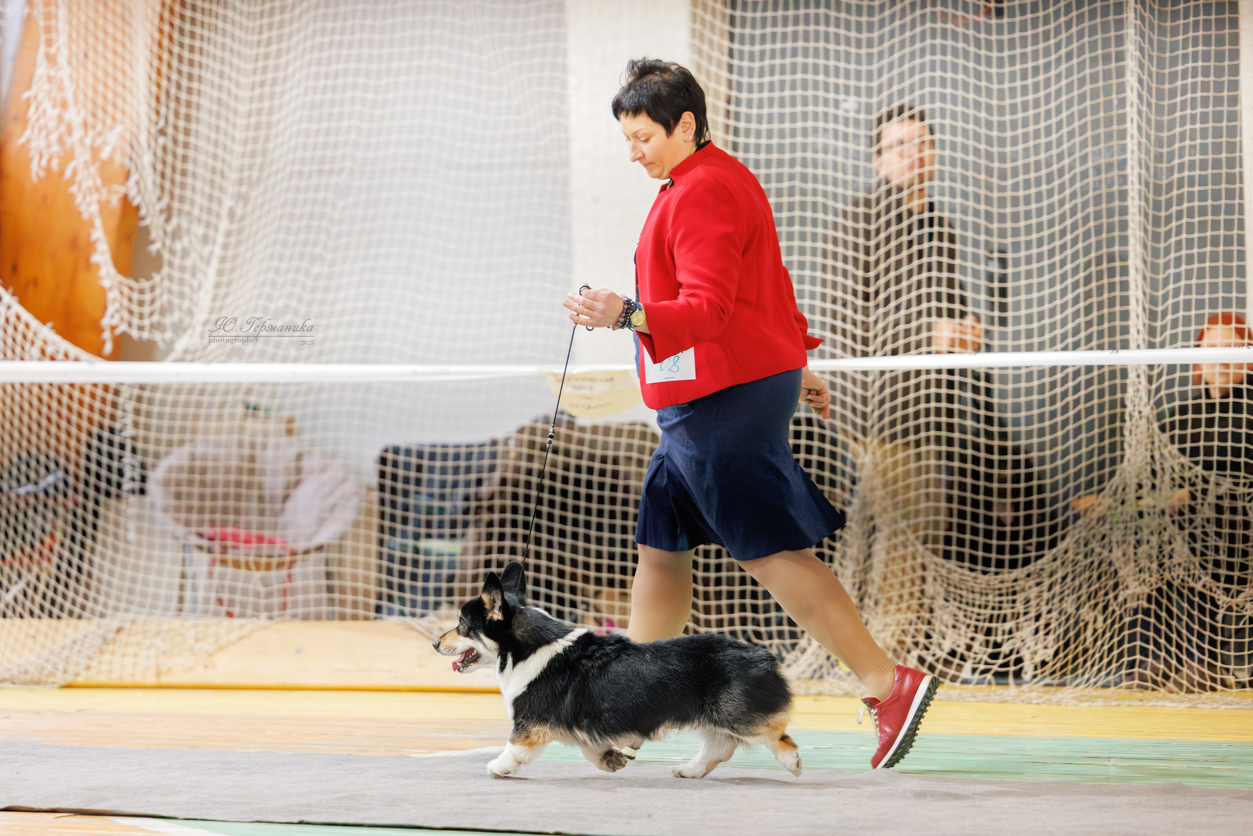 Тверь 21.12.2025. Фотограф-анималист Юлия Германика