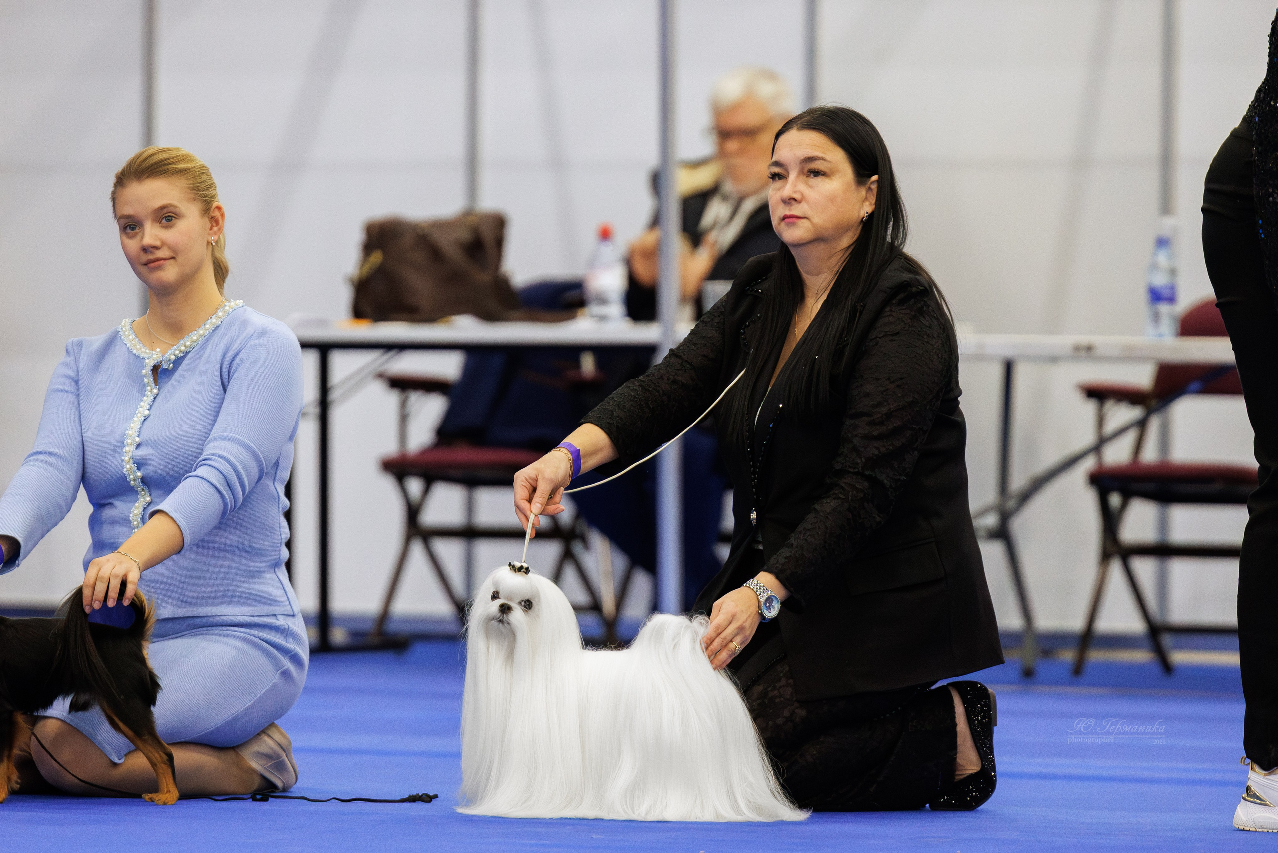 Питер 12-13.12.2025. Фотограф-анималист Юлия Германика