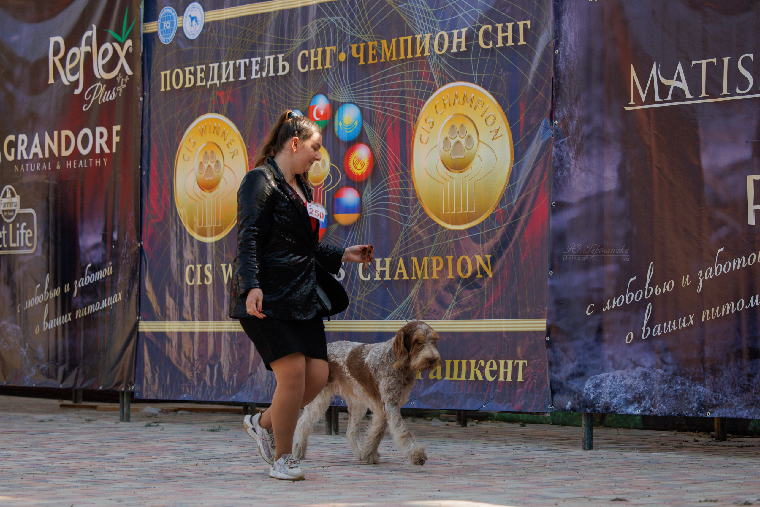 Ташкент 3хCACIB 3-5.10.2025. Фотограф-анималист Юлия Германика