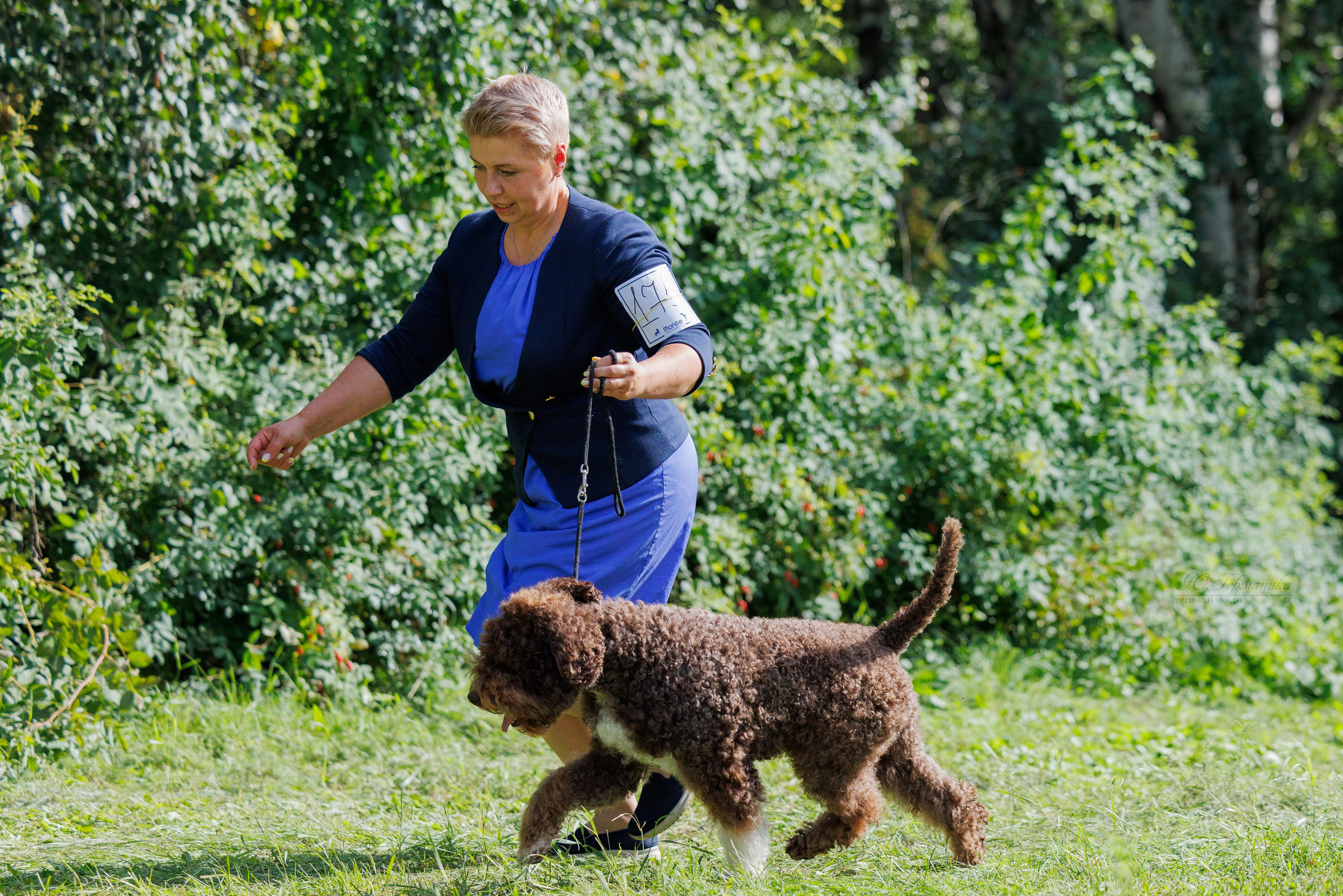 Астана 2хCACIB 17-18.08.2024. Фотограф-анималист Юлия Германика