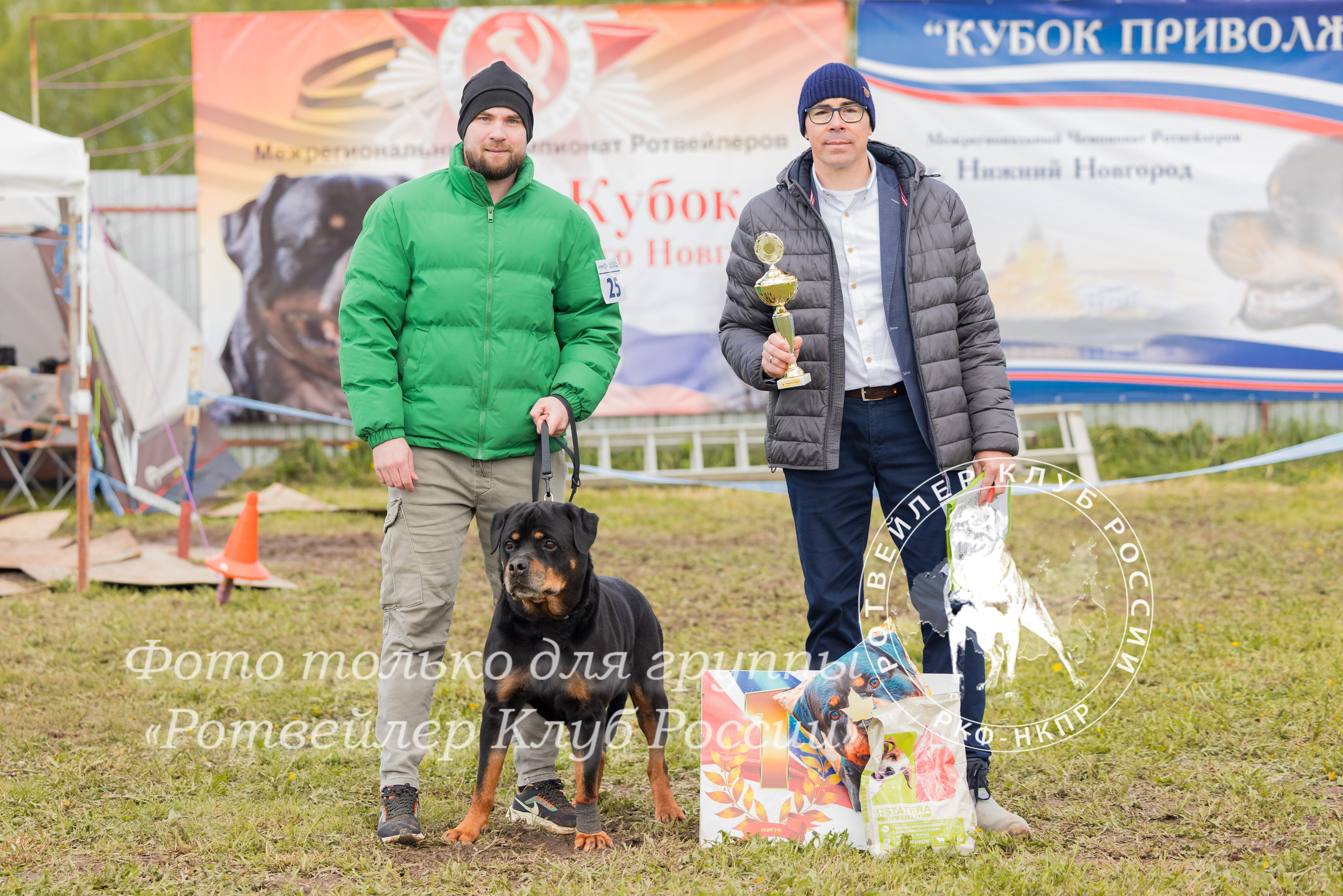 Нижний Новгород 2хмоно ротвейлеров 10-11.05.2025. Фотограф-анималист Юлия Германика