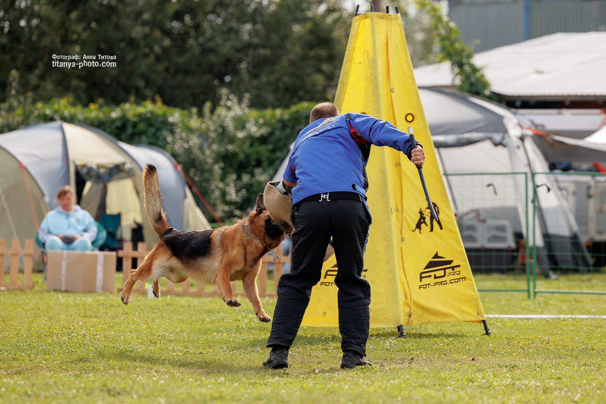 Немецкие овчарки: фото из рингов и вне ринга, мутпроба (фотографии с выставок). Фотограф собак, фотограф-анималист Аня Титова (Titanya). Москва