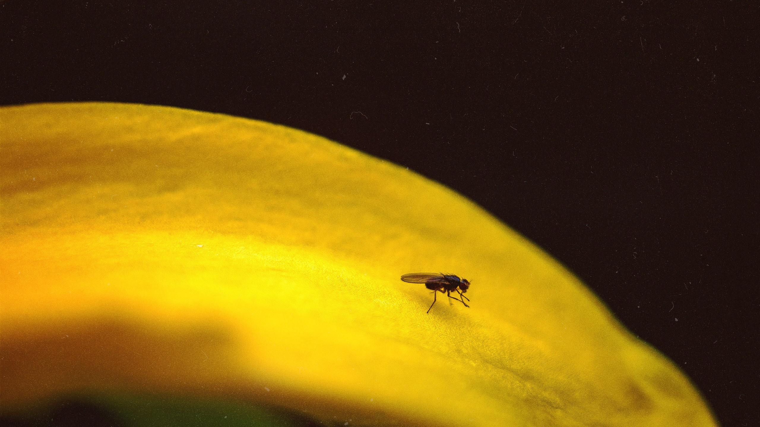 N a t u r e. Your photographer