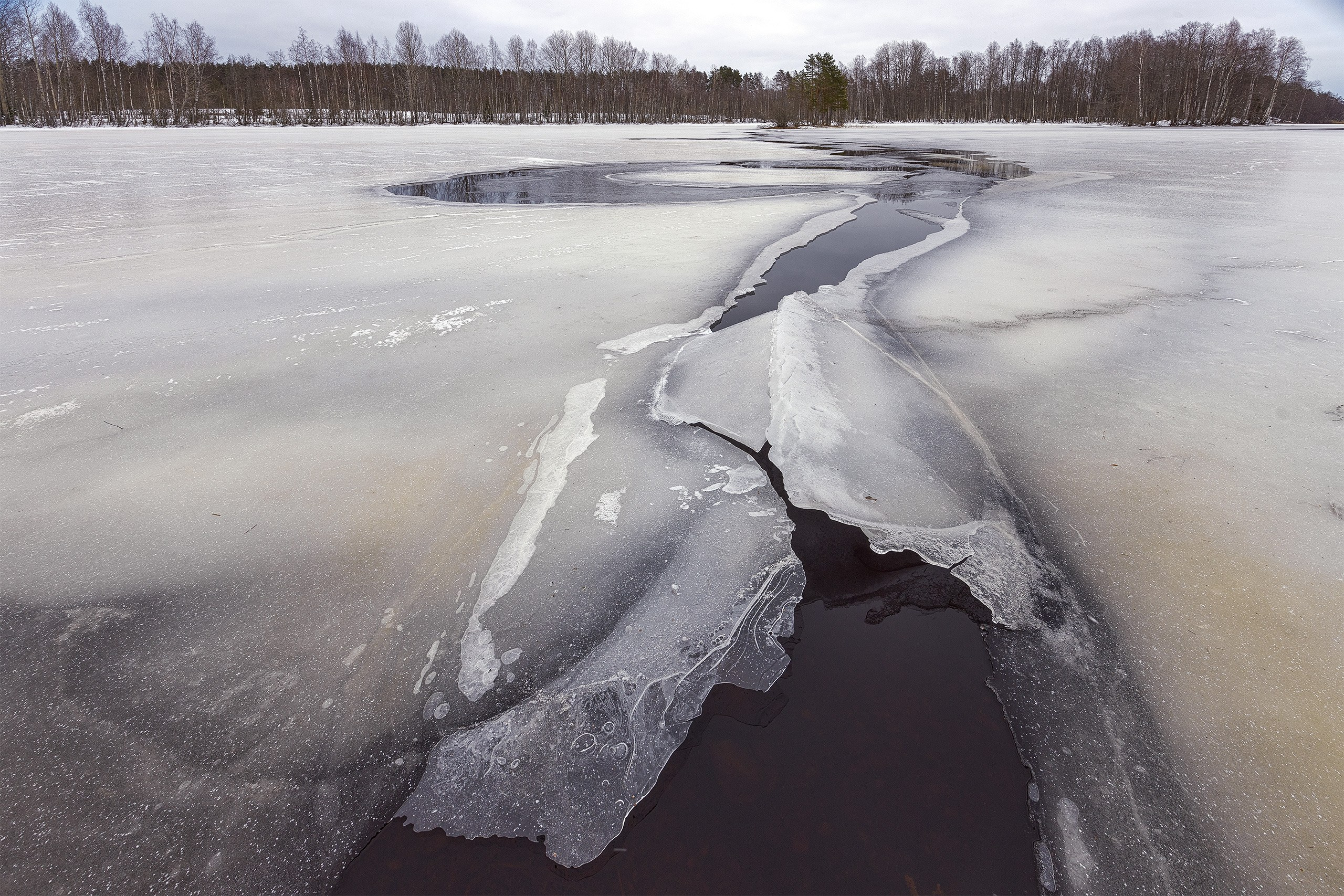 Пейзажи. Сайт фотографа Елены Михайловой. Фотосессии на пленэре в Сестрорецке