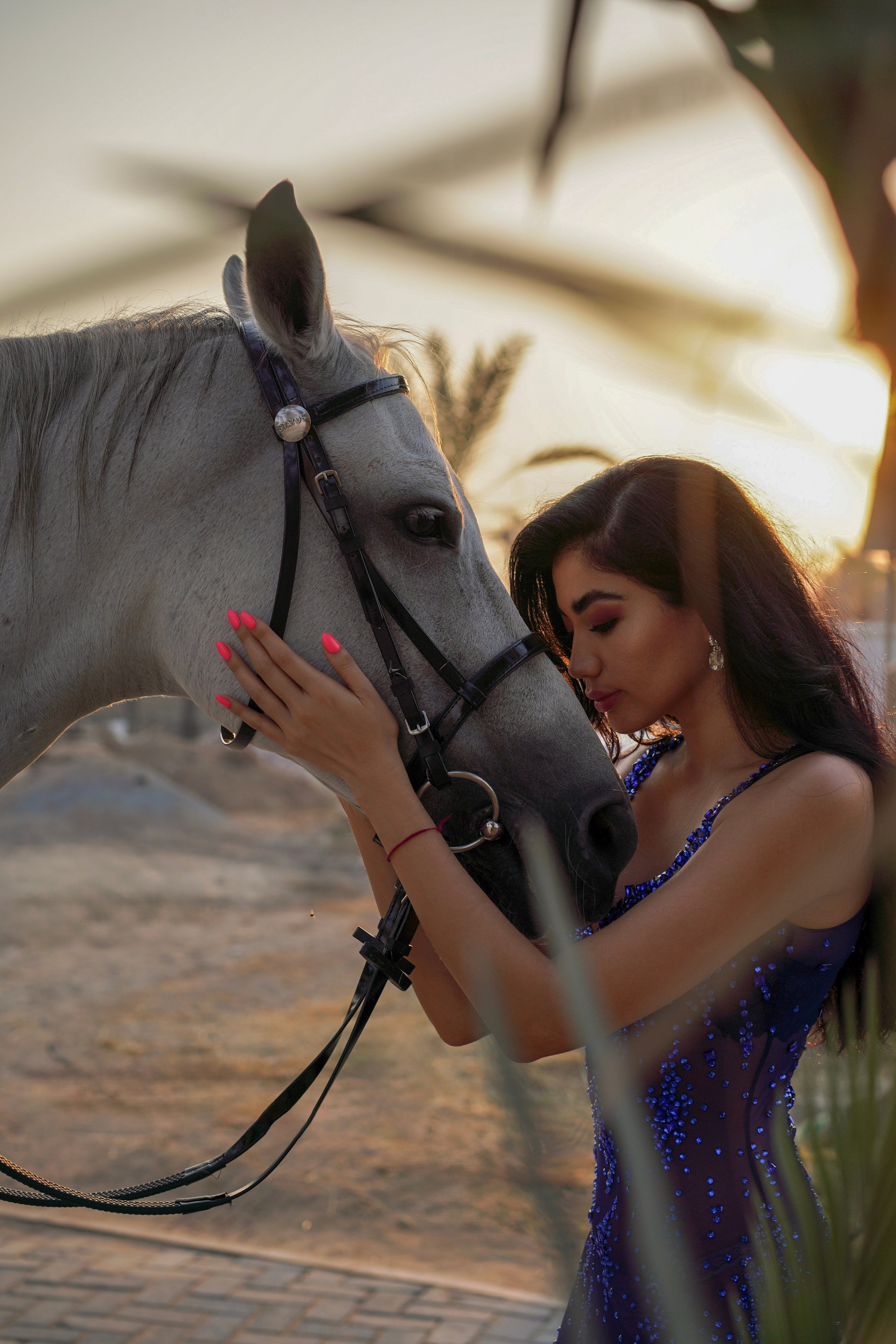 AT THE STABLE. Photographer in Dubai