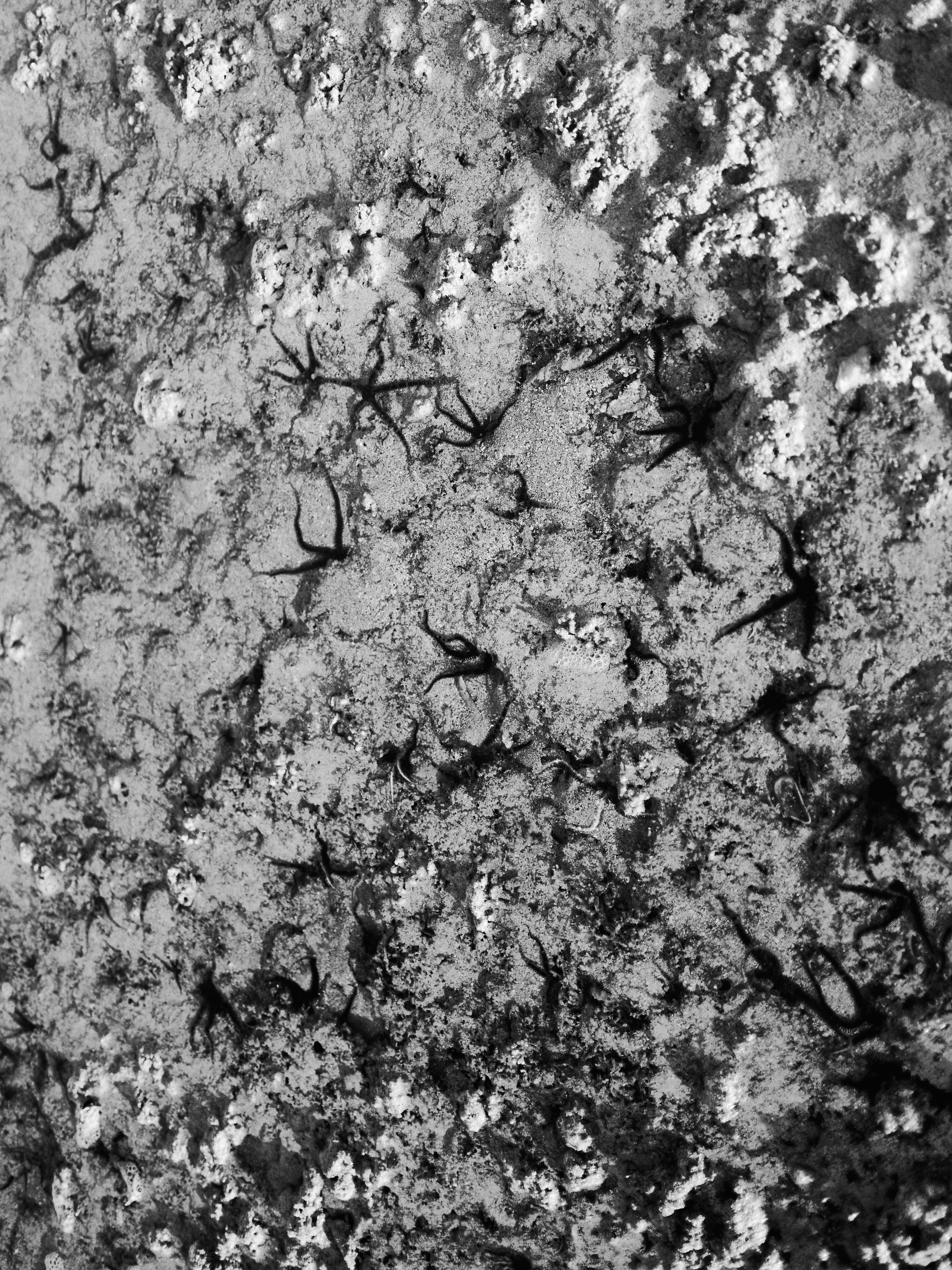 Другое 3. Jorgis Talè — photographer, kind person, teacher of arts and other mag